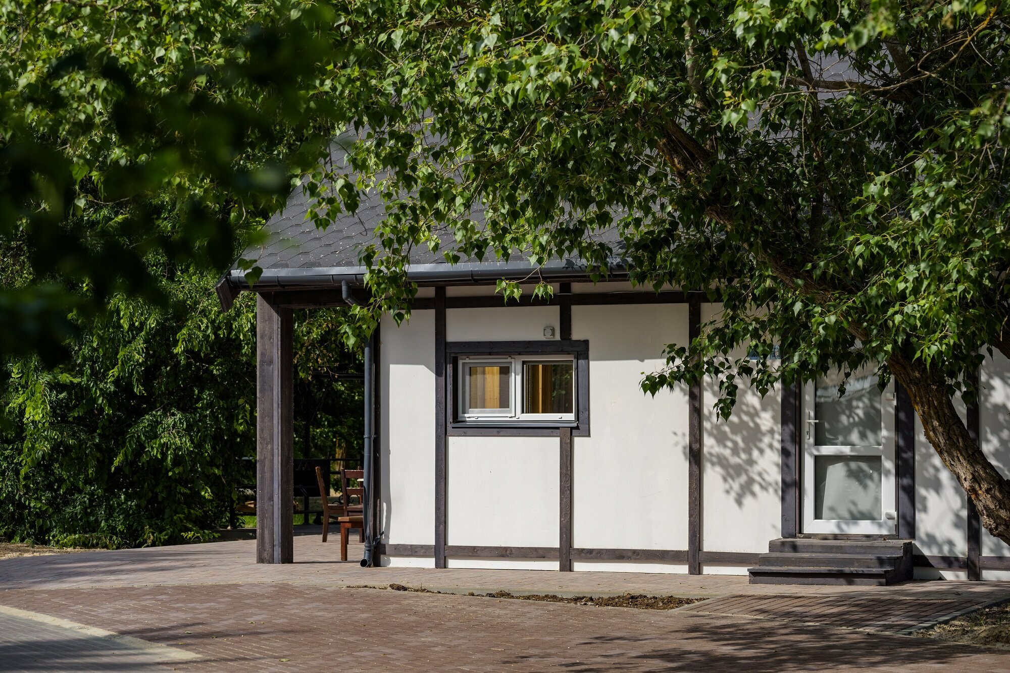 Дом "Елки-палки"