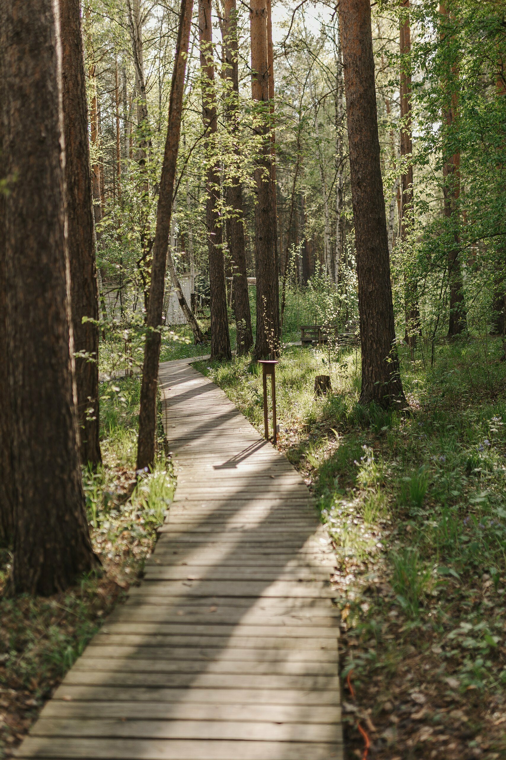 Двухместный номер с 1 кроватью и видом на озеро