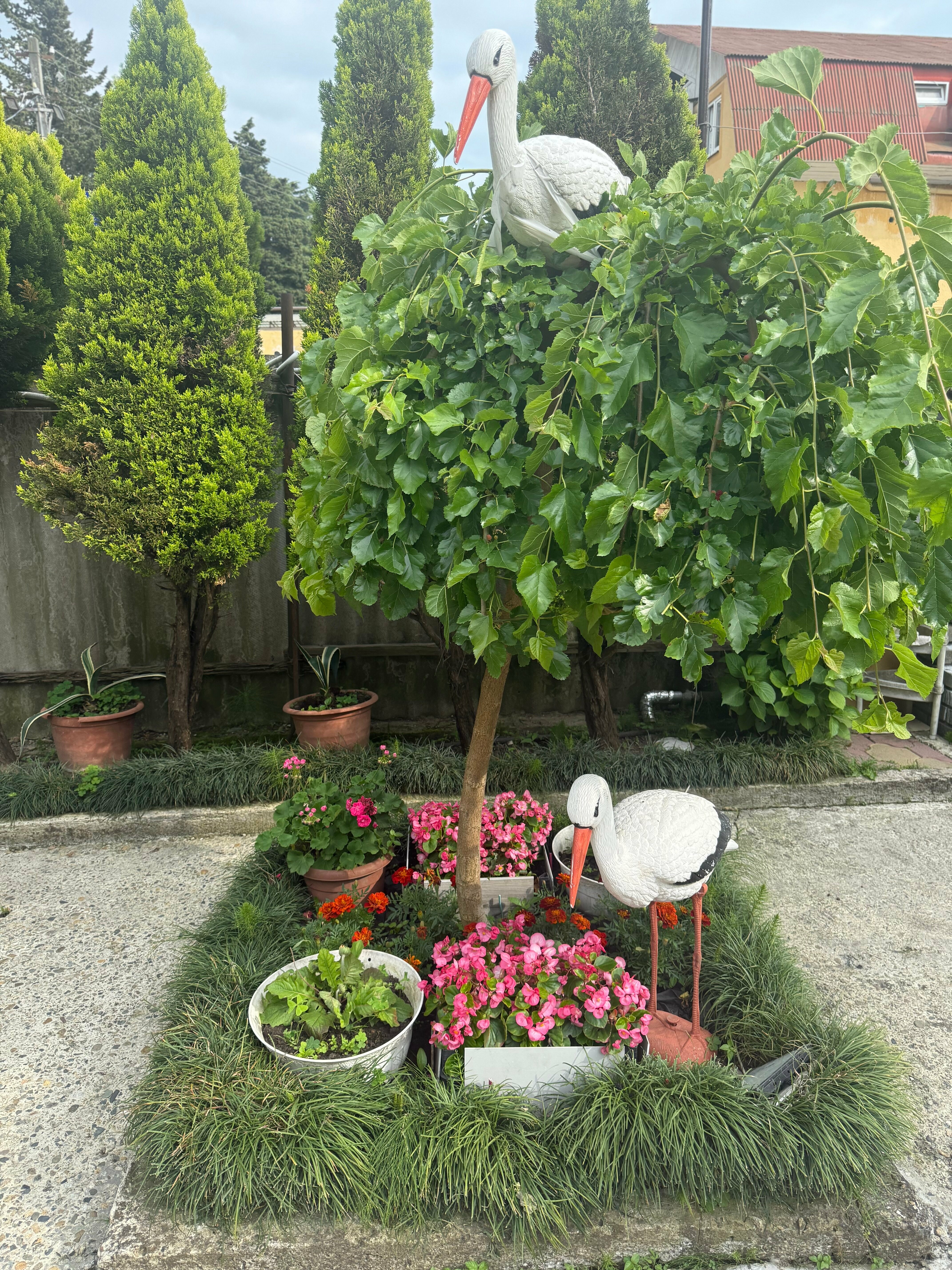 Стандартный Двухместный номер с двуспальной кроватью