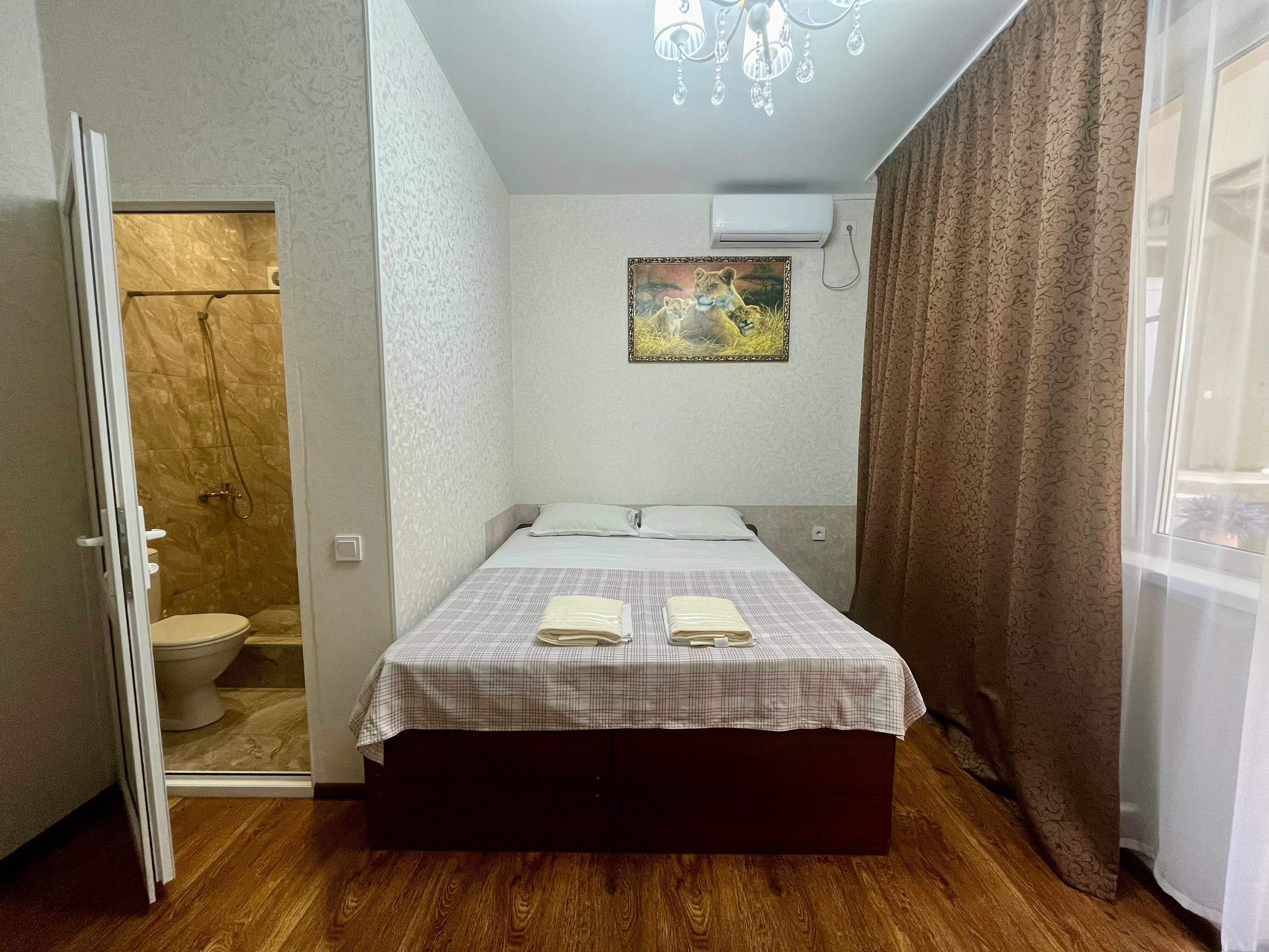 Двухместный номер с 1 кроватью