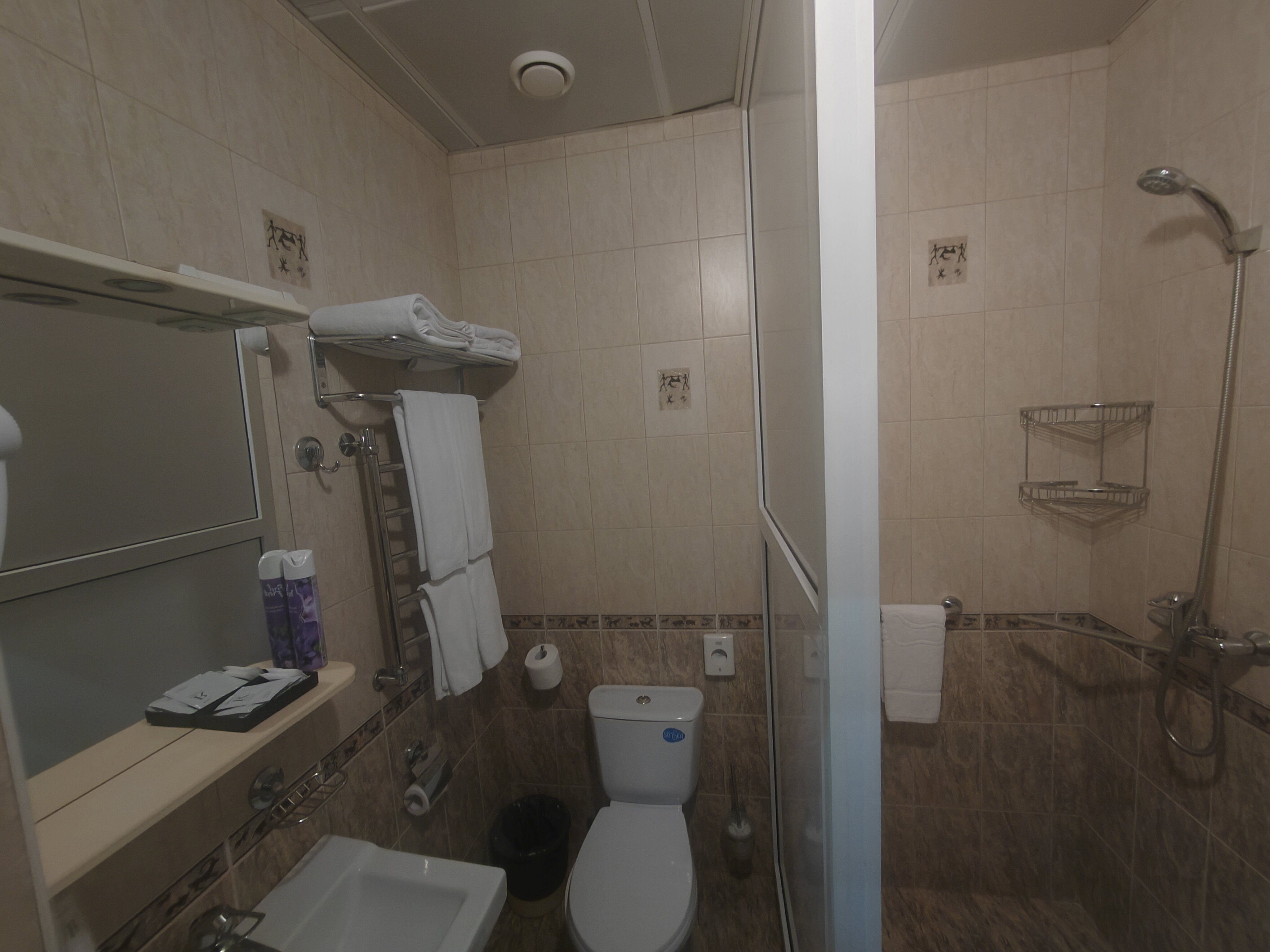 Двухместный номер с 1 кроватью