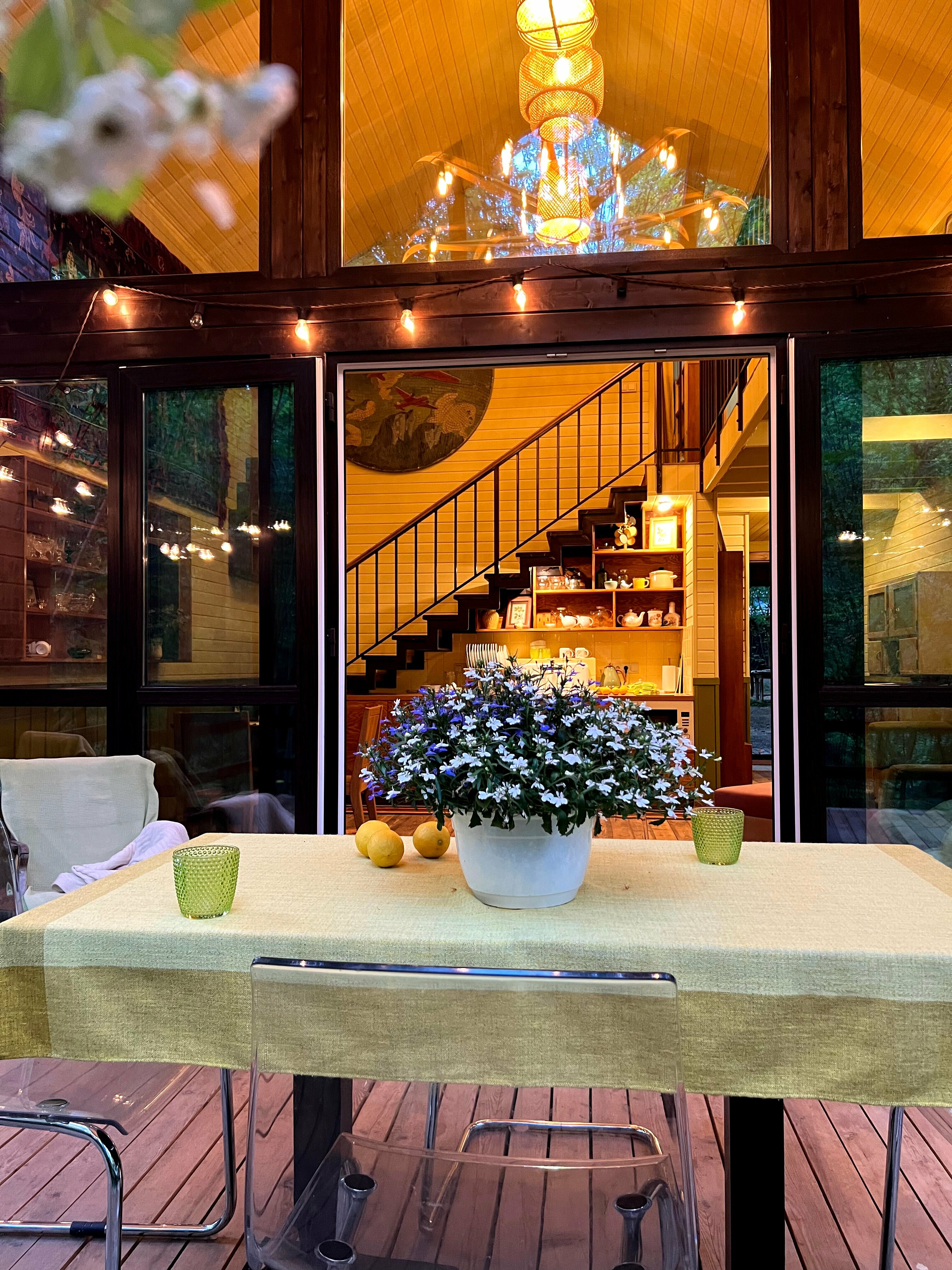 Дом с видом на лес