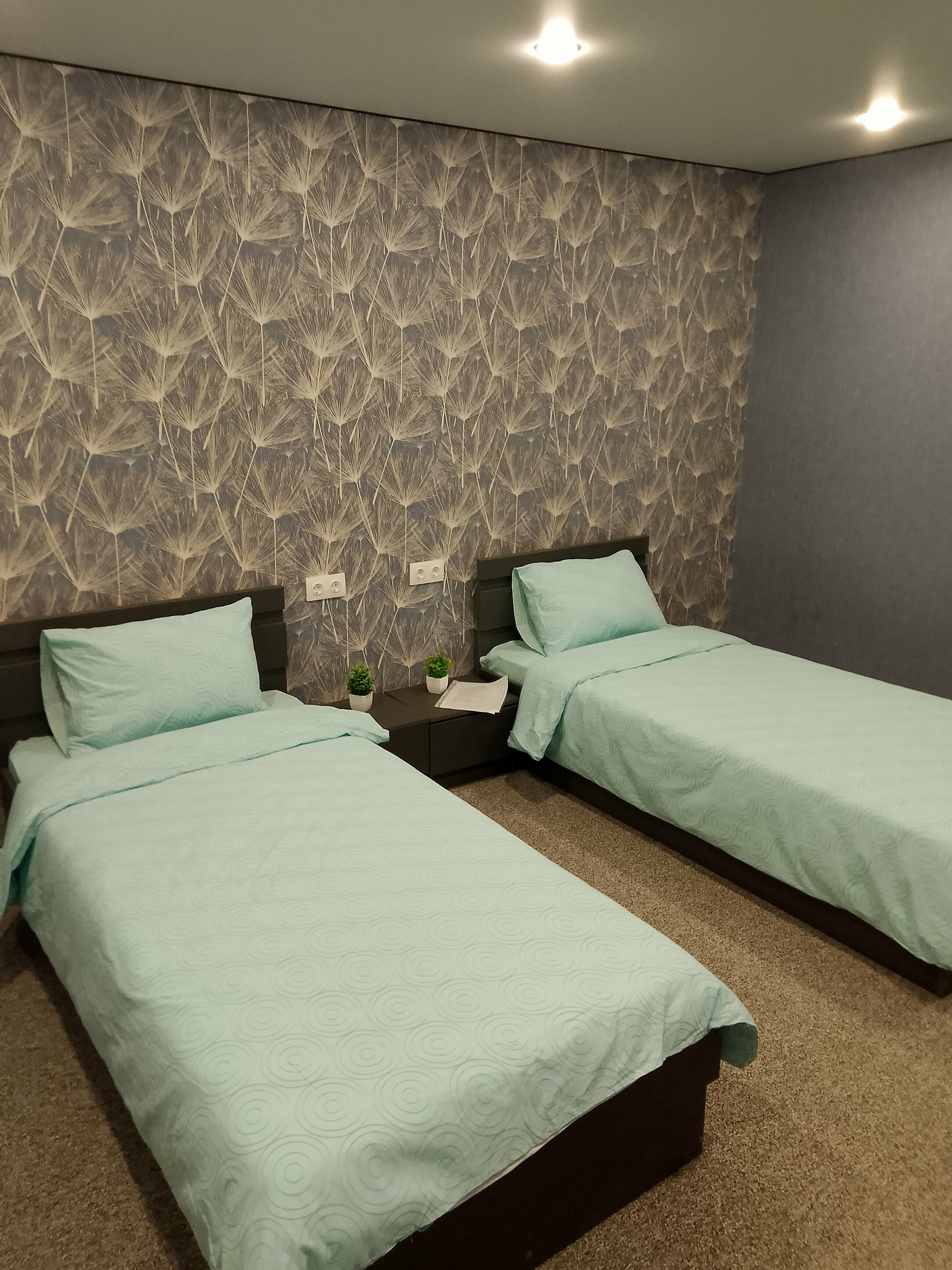 Двухместный номер с 2 отдельными кроватями