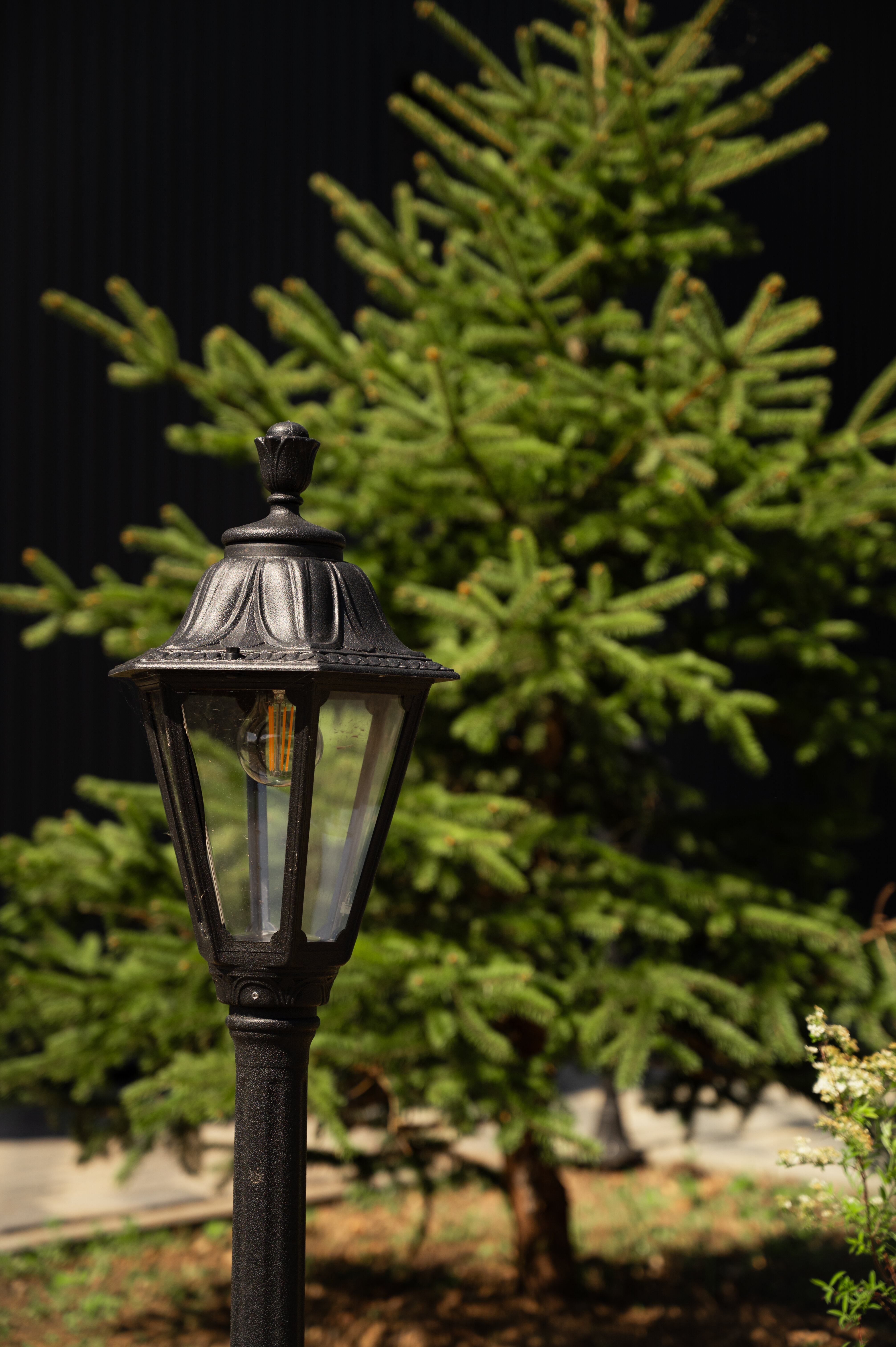 Дом с видом на лес 170кв.м.