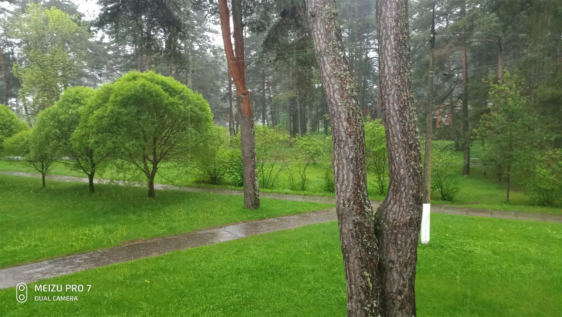 номер-двухместный эконом