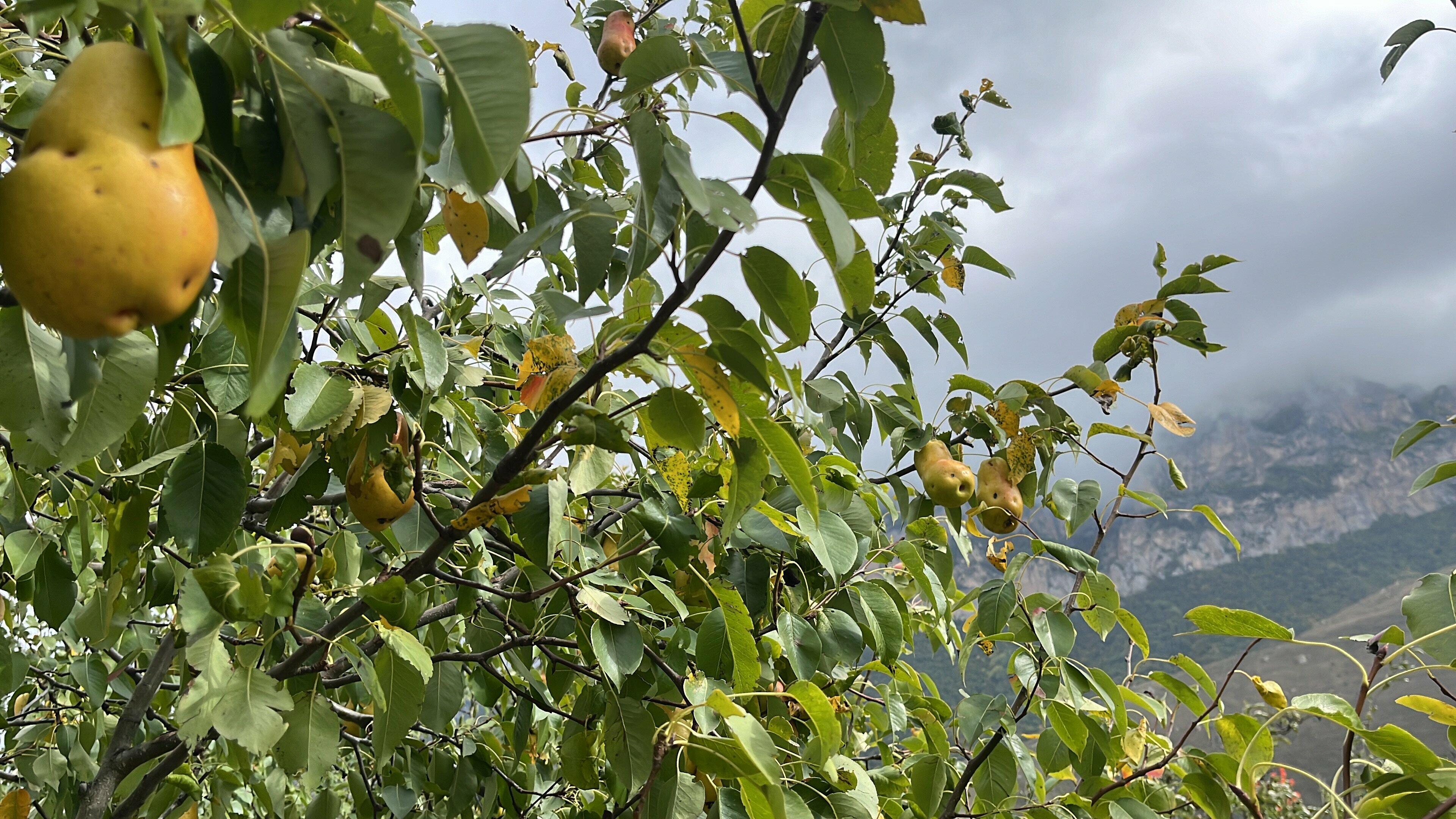 Дом с 2 спальнями