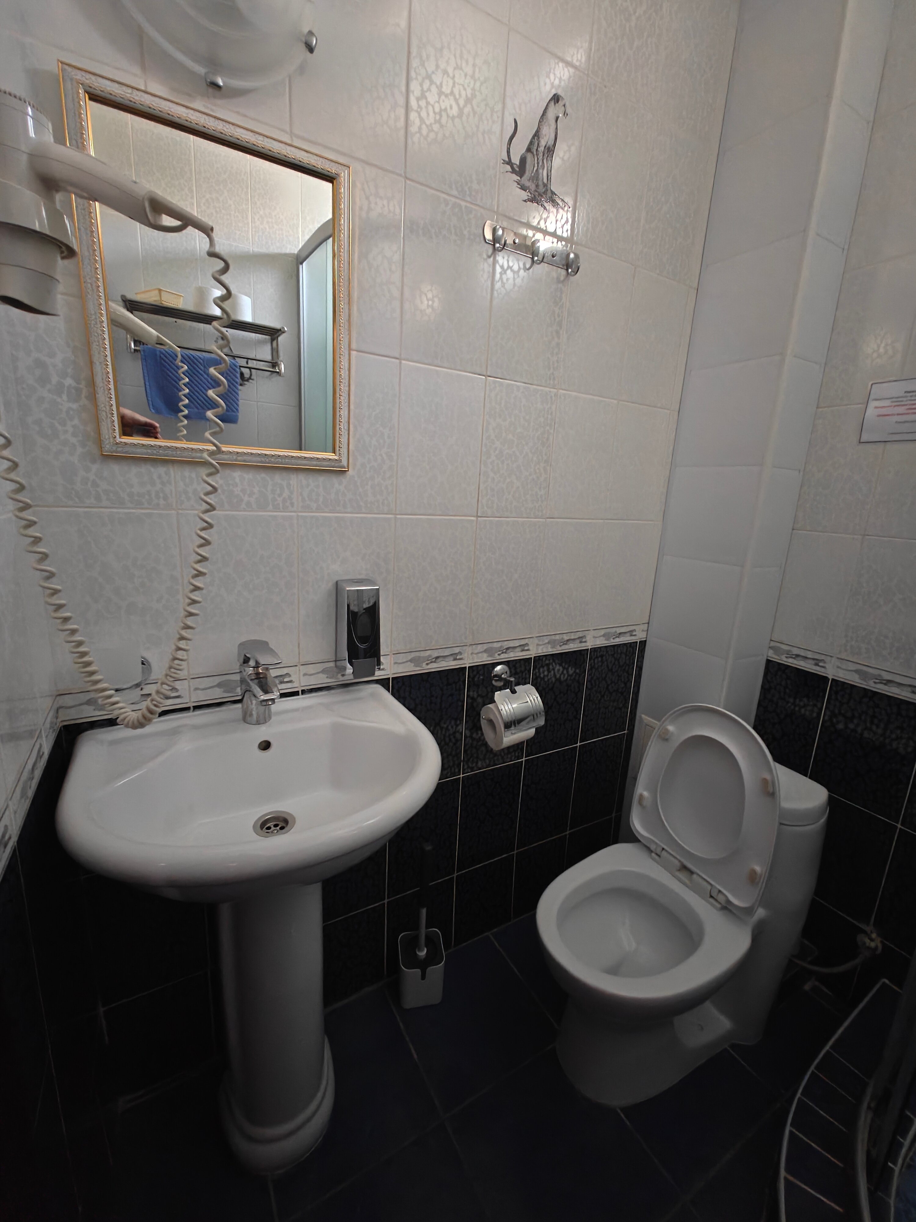 Двухместный номер с 1 кроватью или 2 отдельными кроватями и балконом