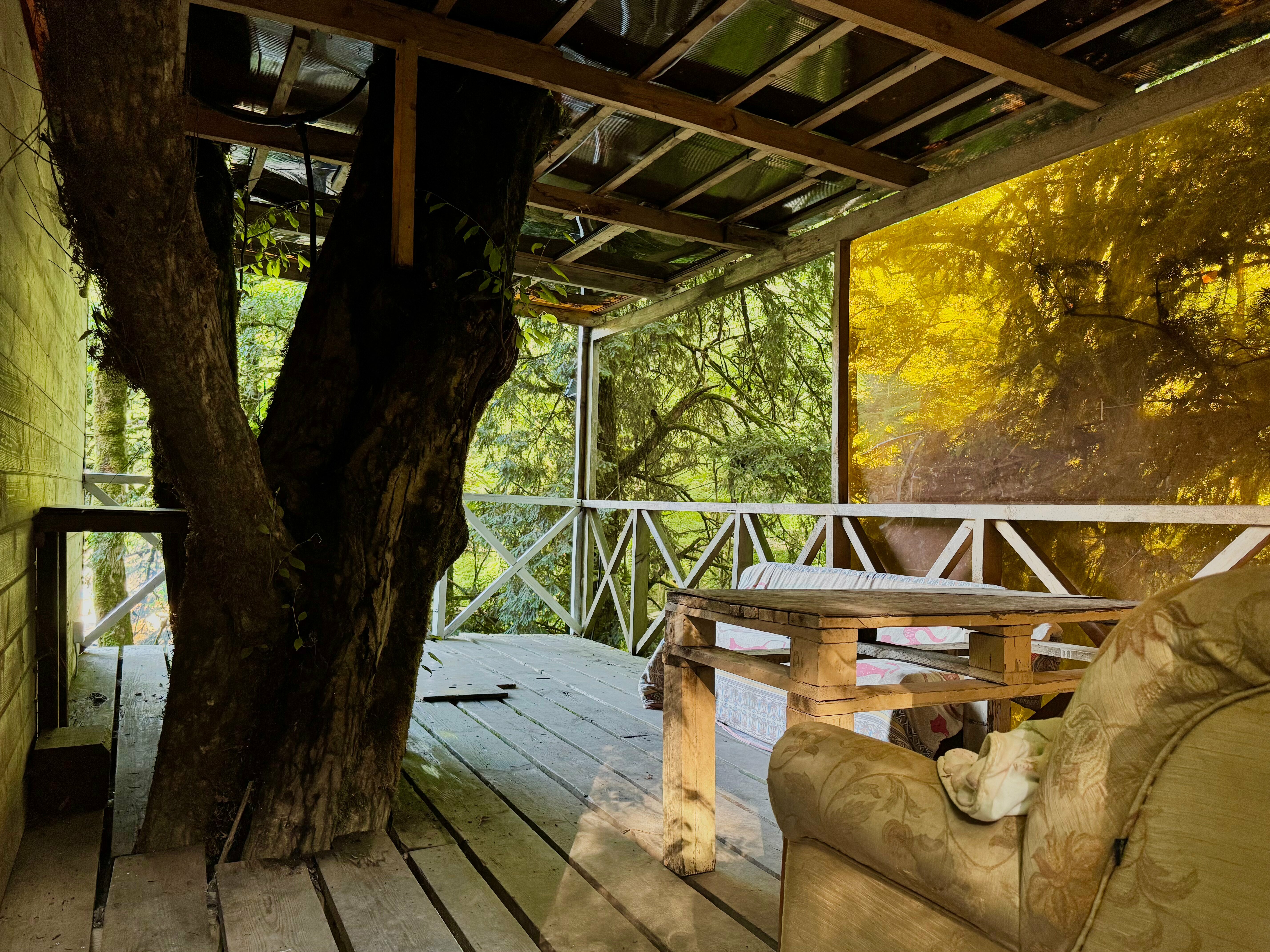 Дом на дереве с видом на лес