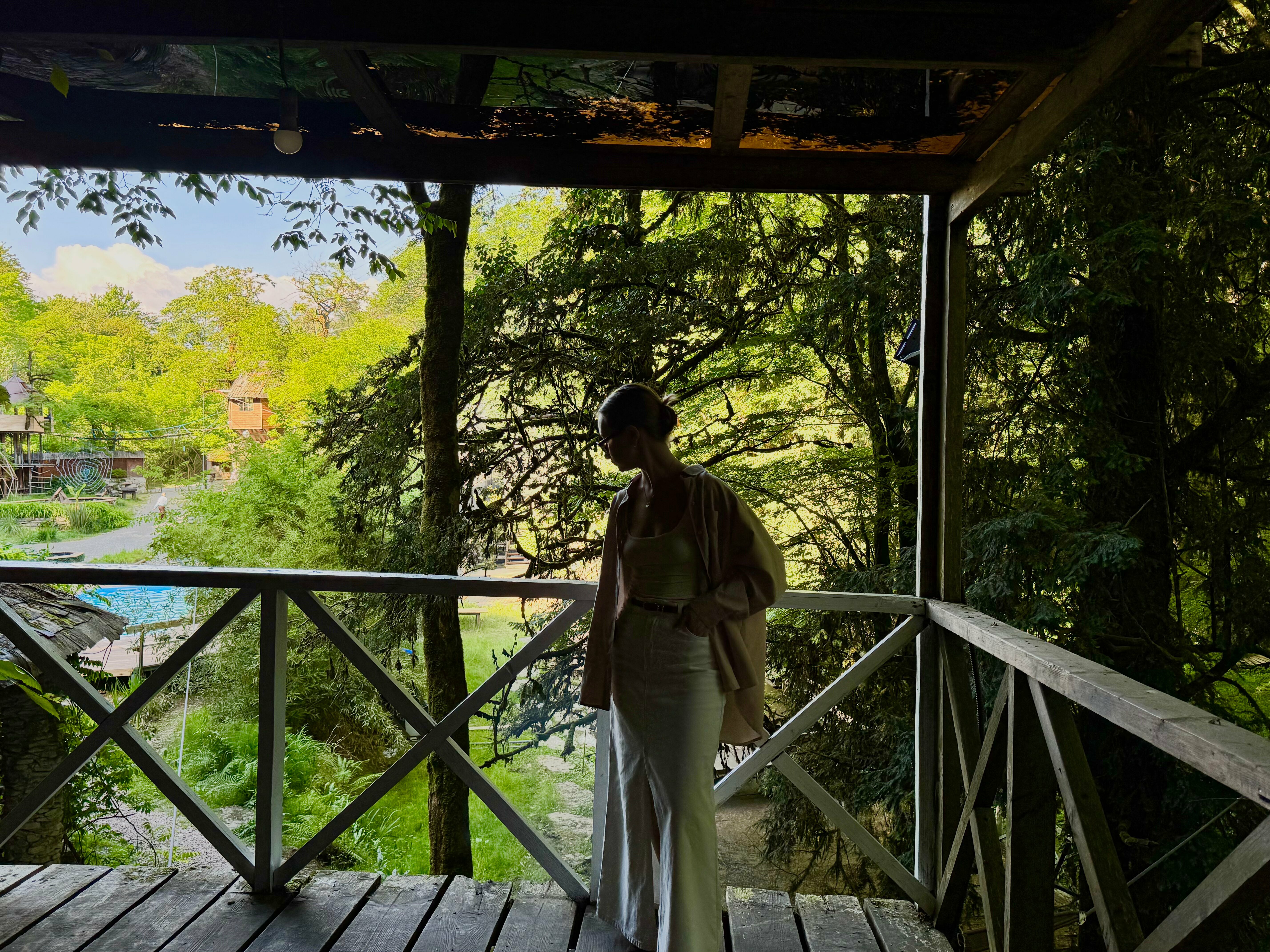 Дом на дереве с видом на лес