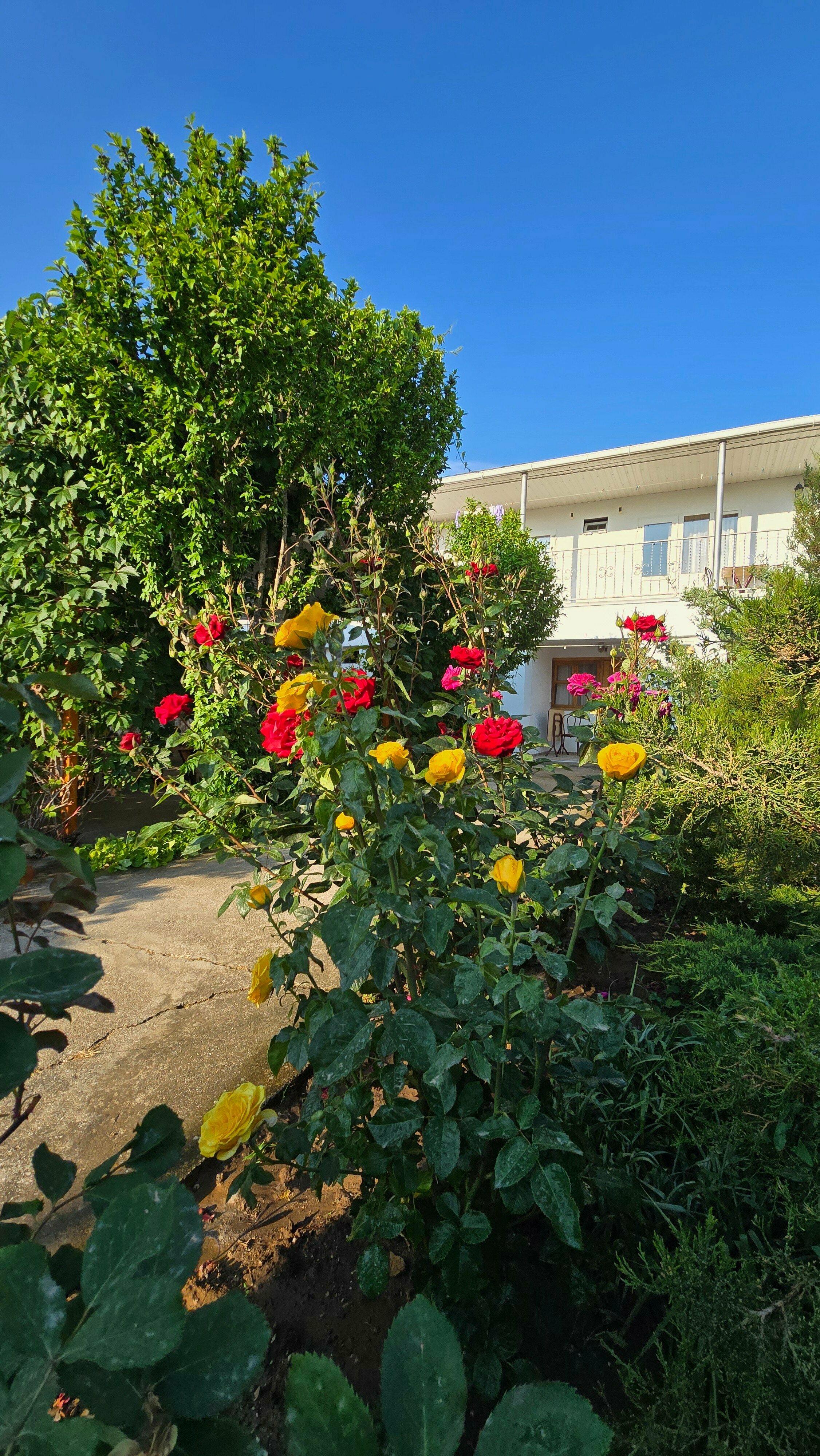 Улучшенный четырехместный номер