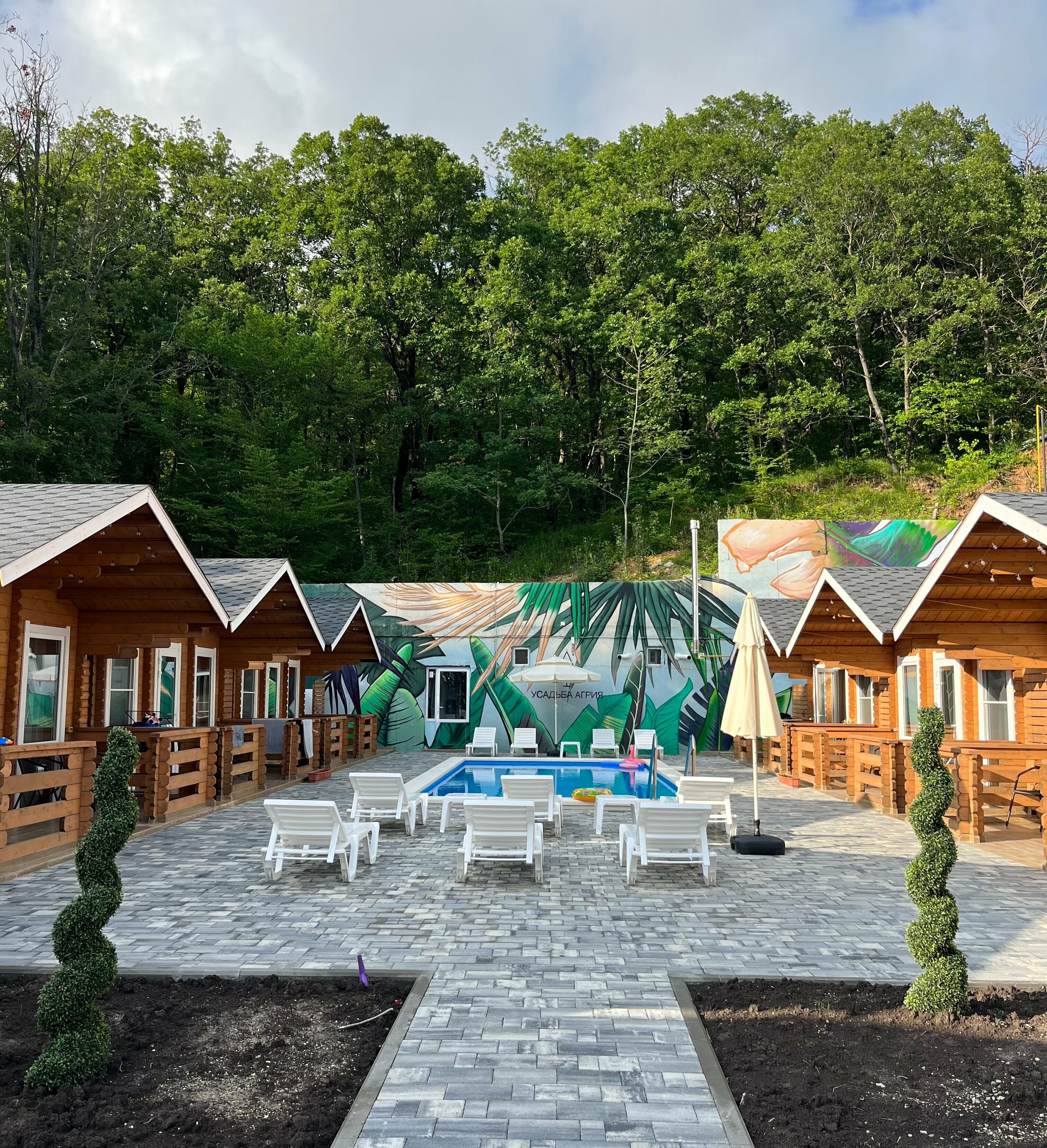 Дом с видом на лес