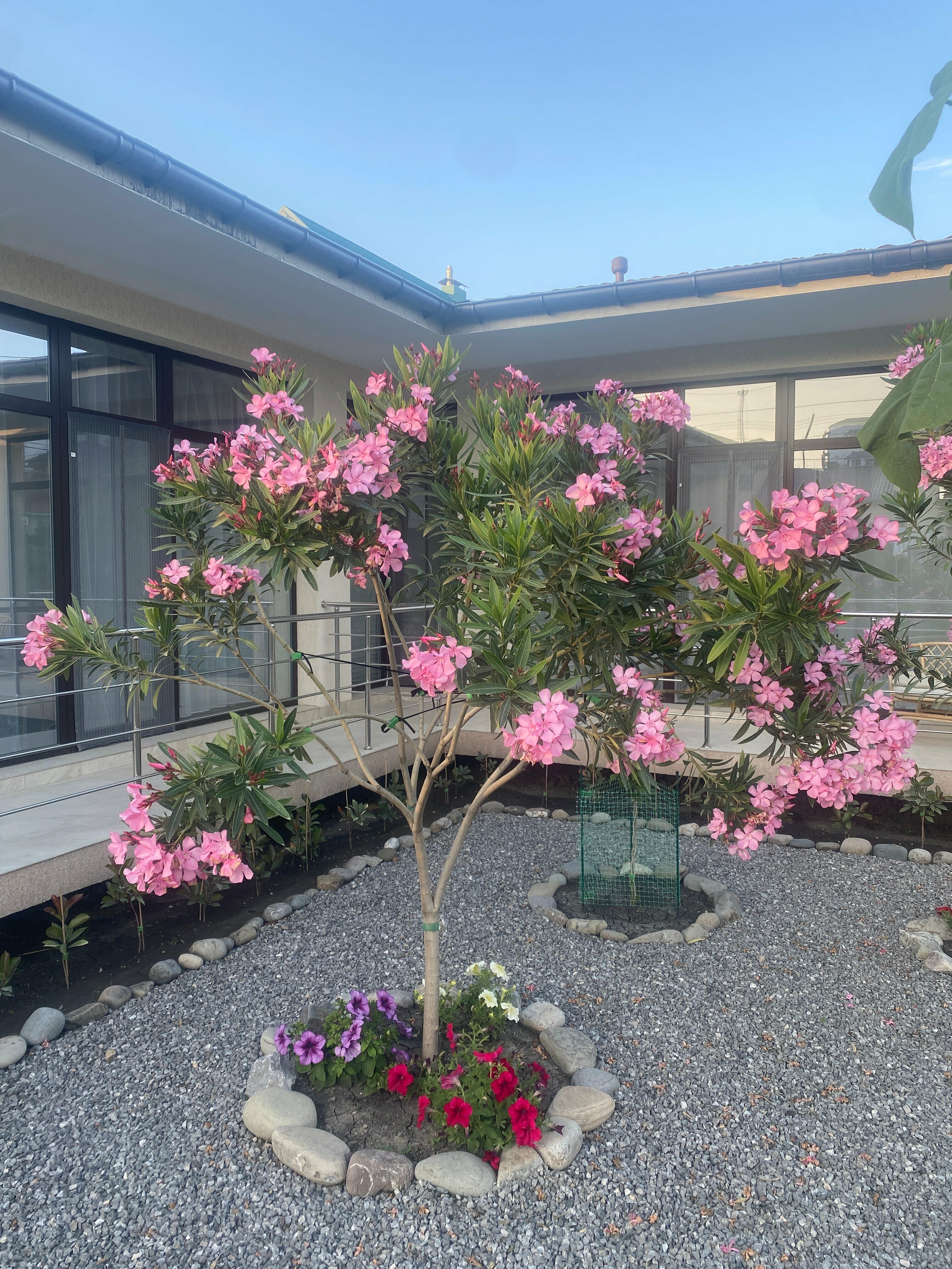 Номер-студия