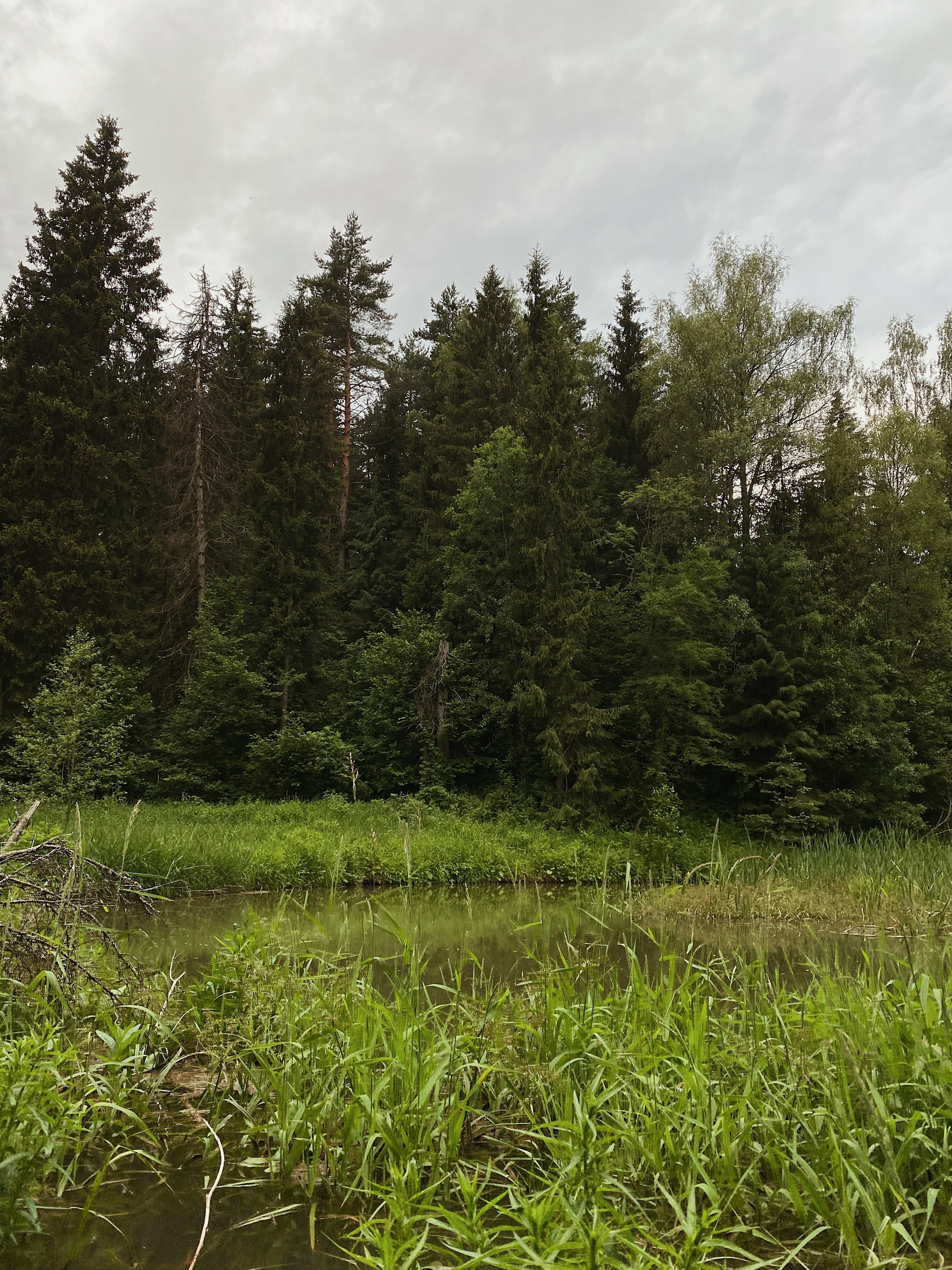 Дом для семейного отдыха