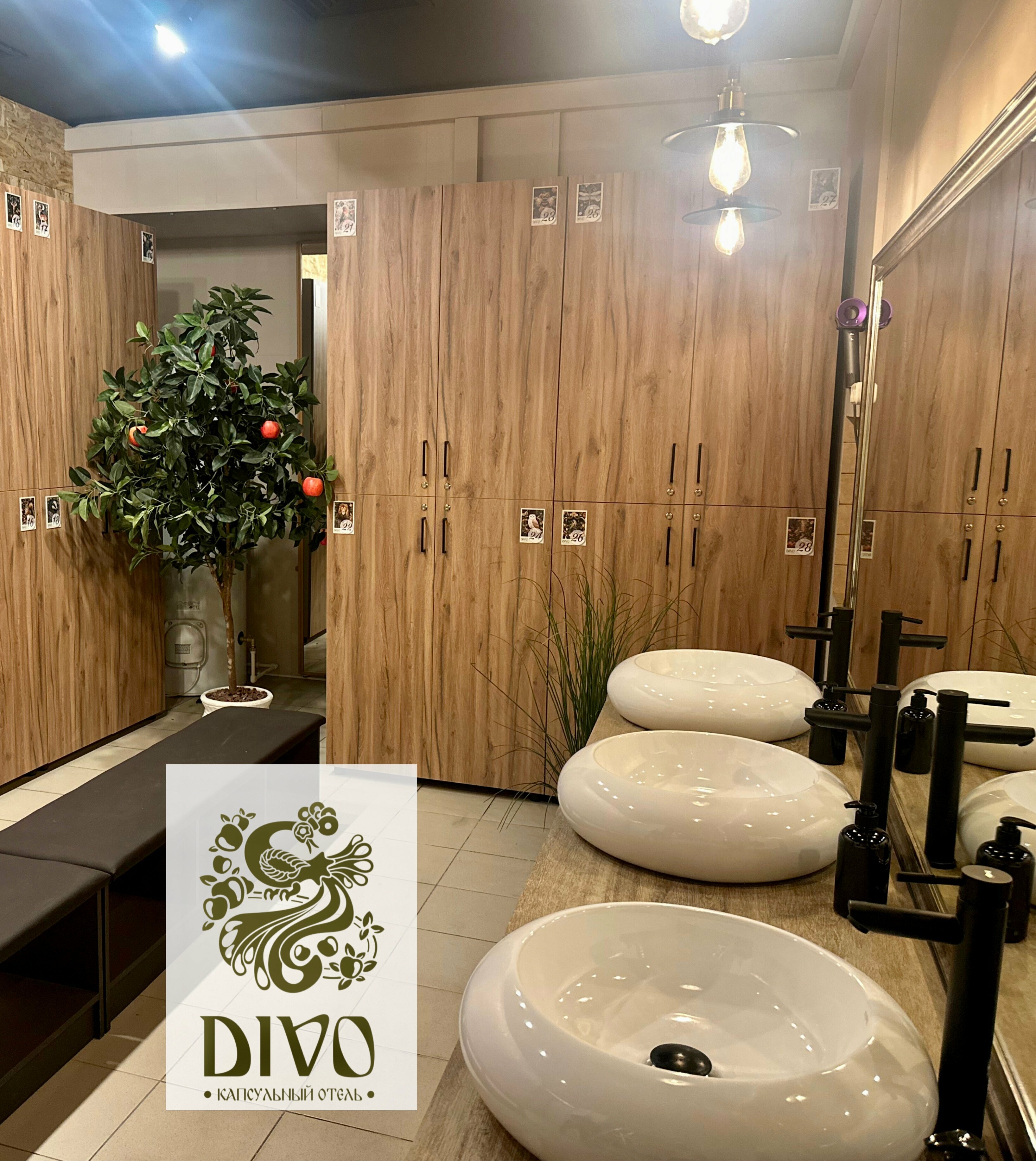 Одноместная Капсула Divo нижняя