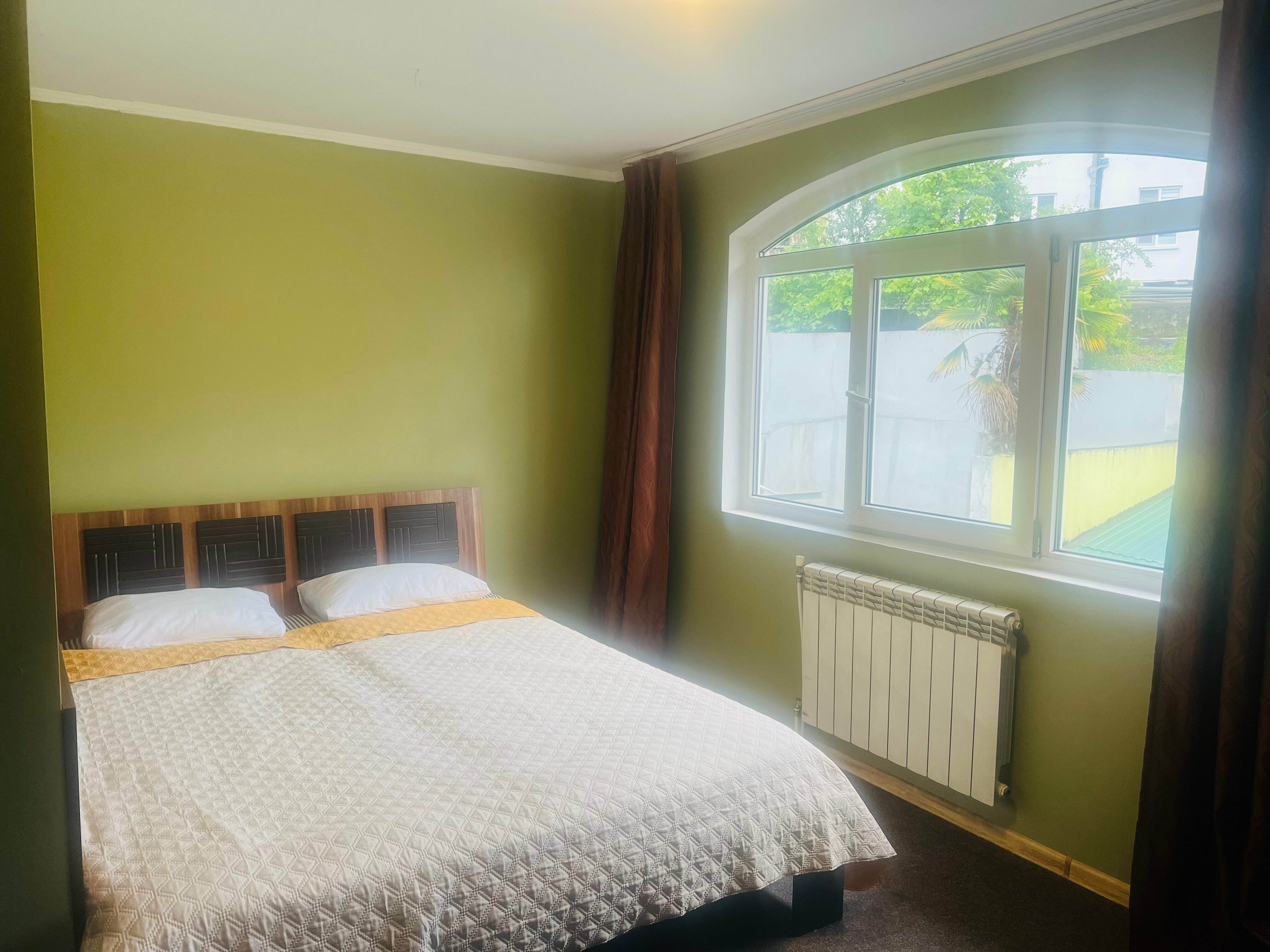 Двухместный номер с 1 кроватью