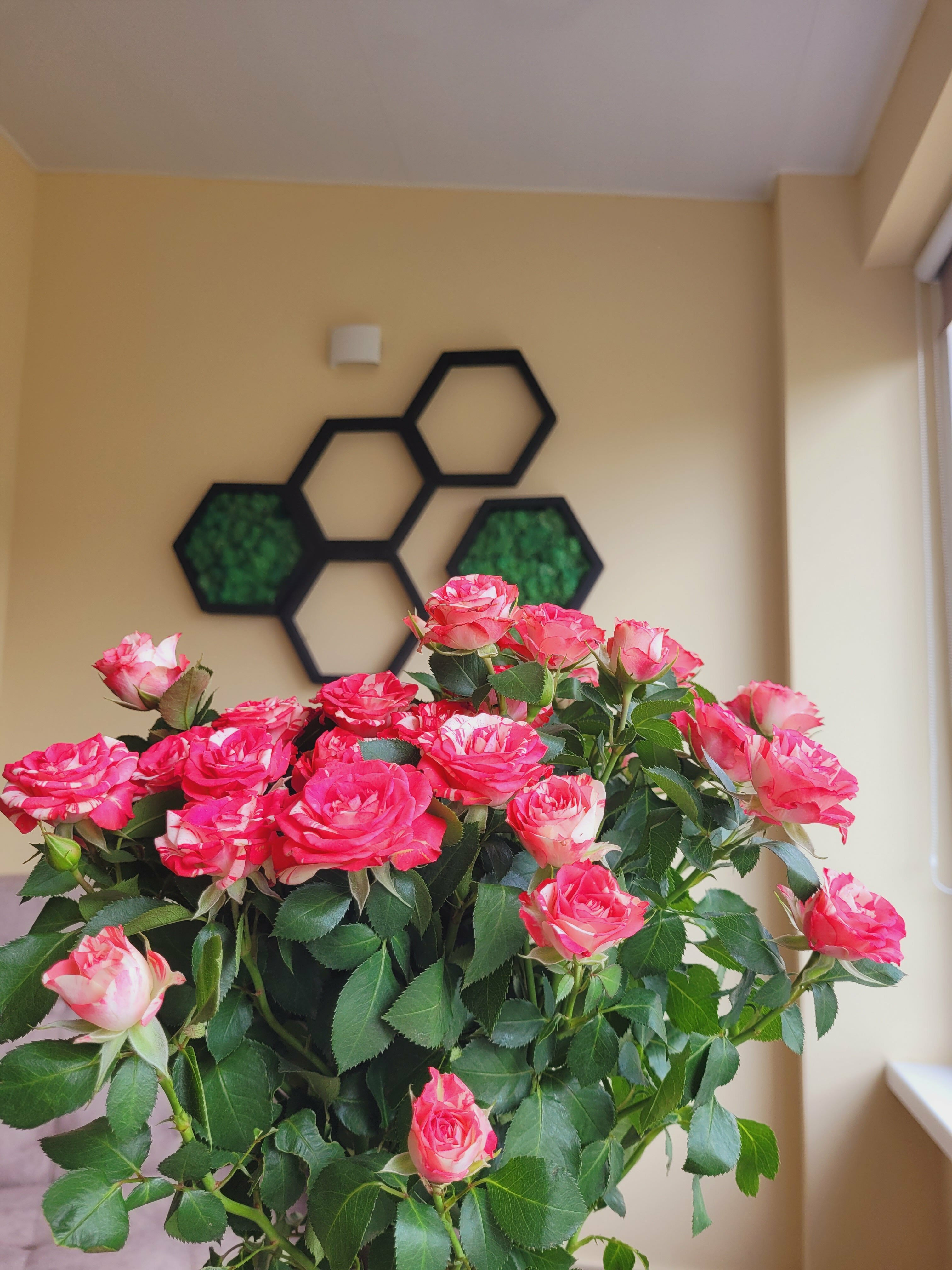 Cемейный номер с собственной ванной комнатой