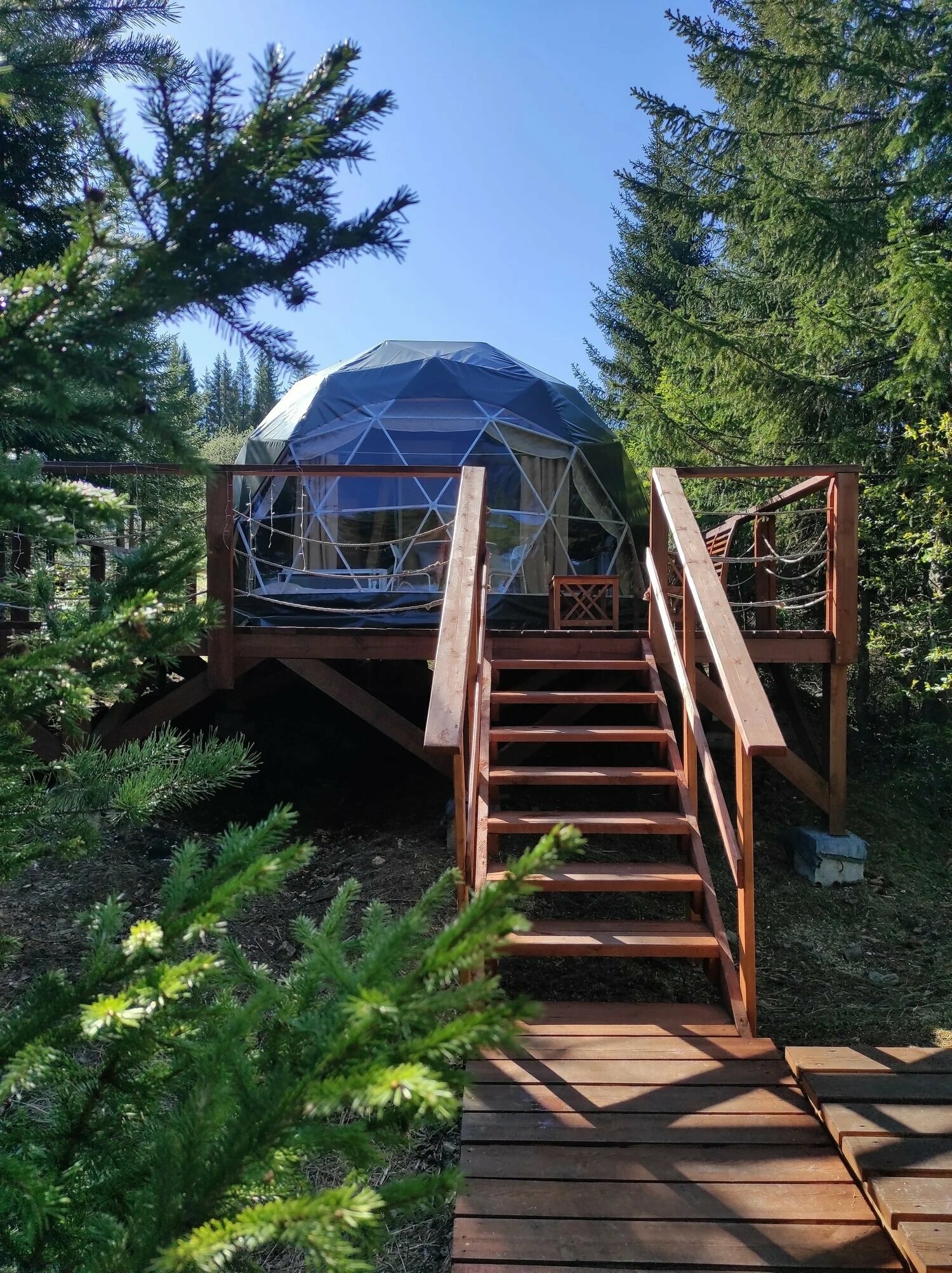 Шатер в лесу