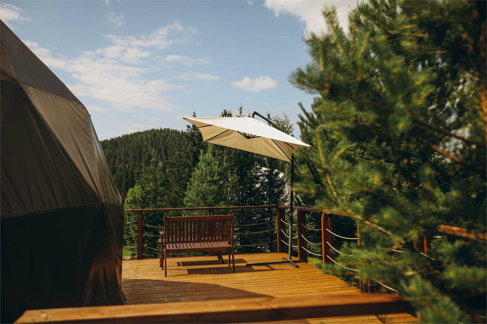 Шатер над ёлкой