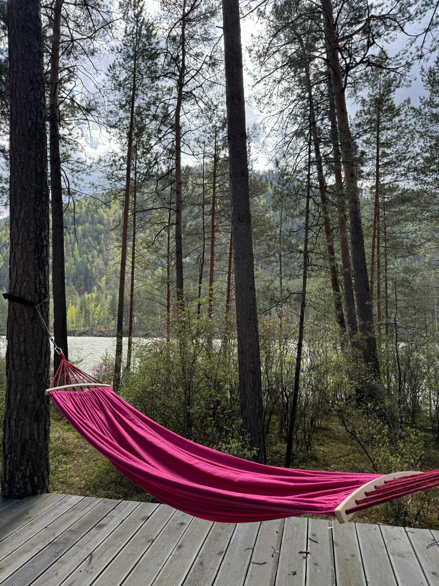 КУПОЛ ROMANTIC KING