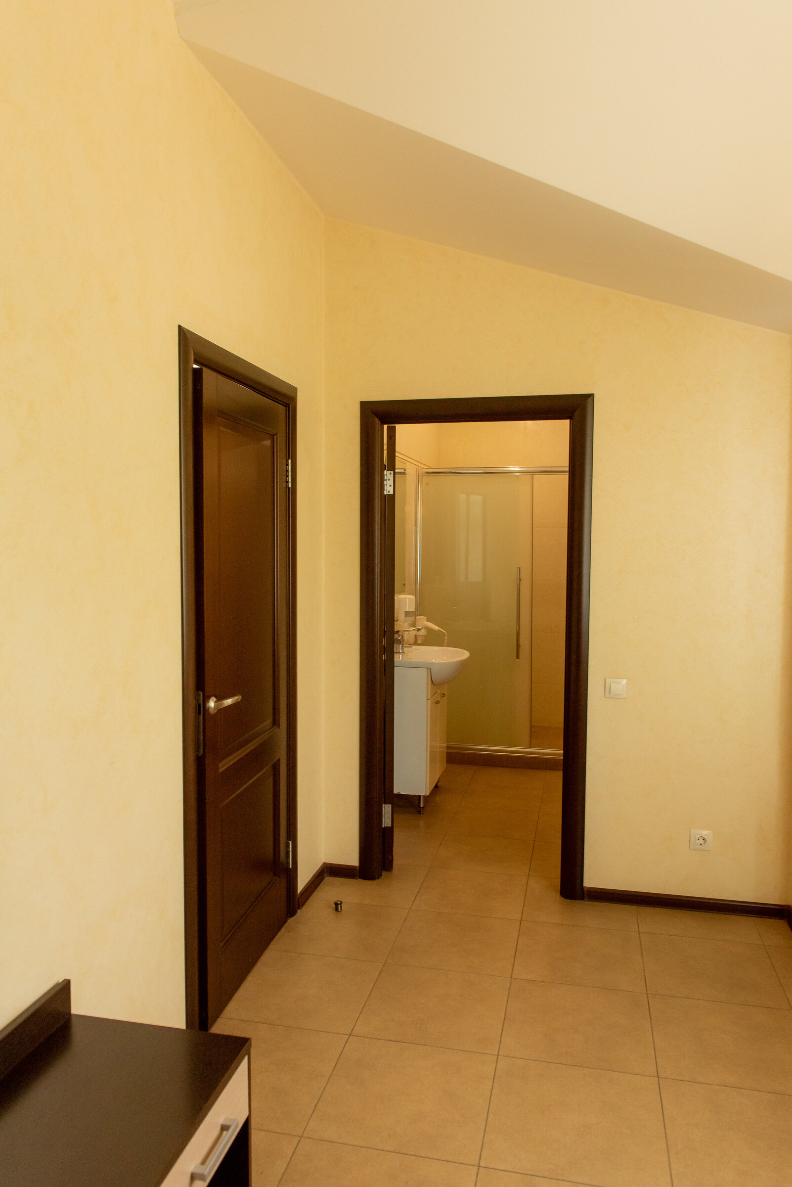 Двухместный номер Делюкс с 1 кроватью