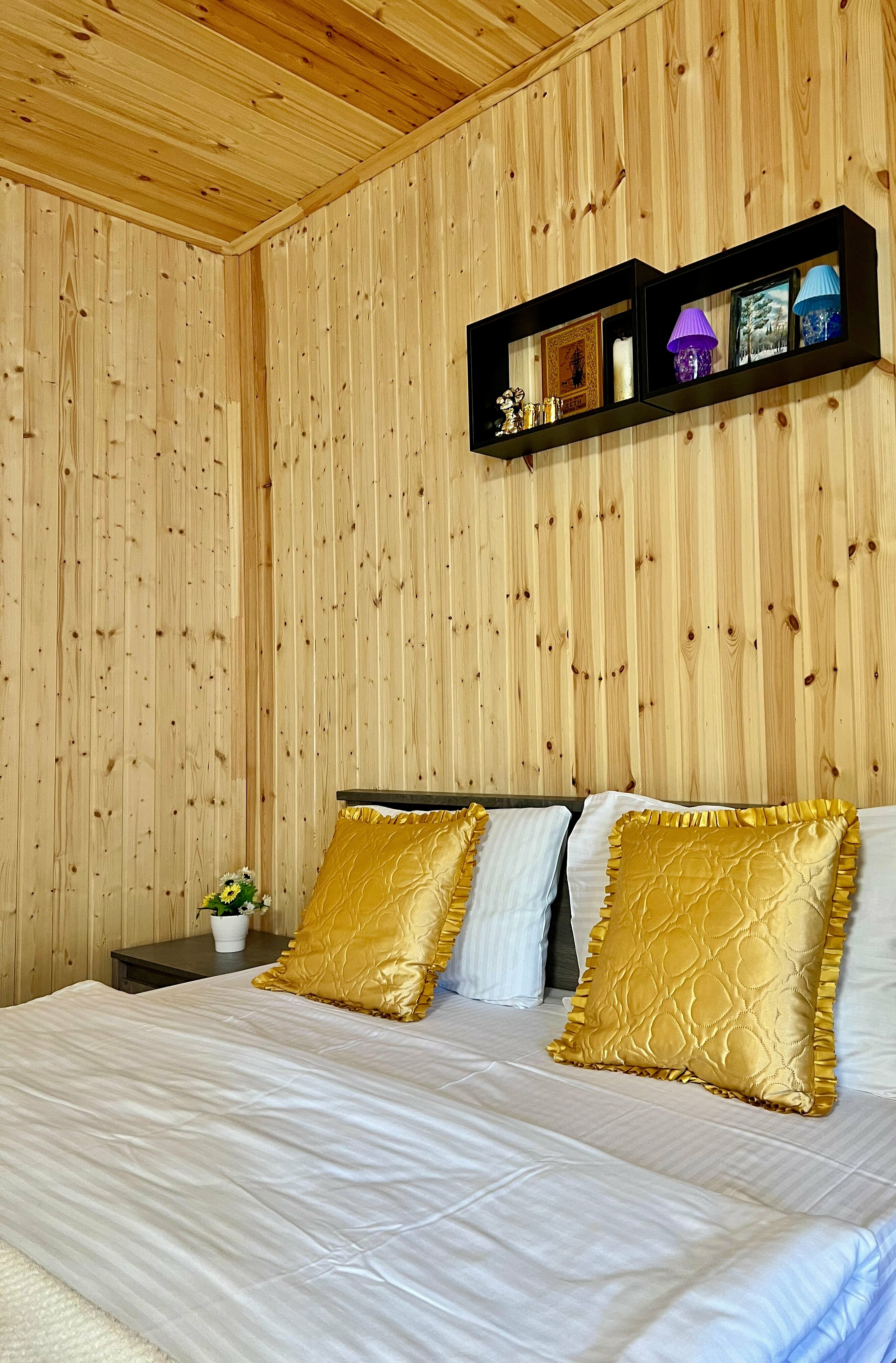 Дом с видом на горы