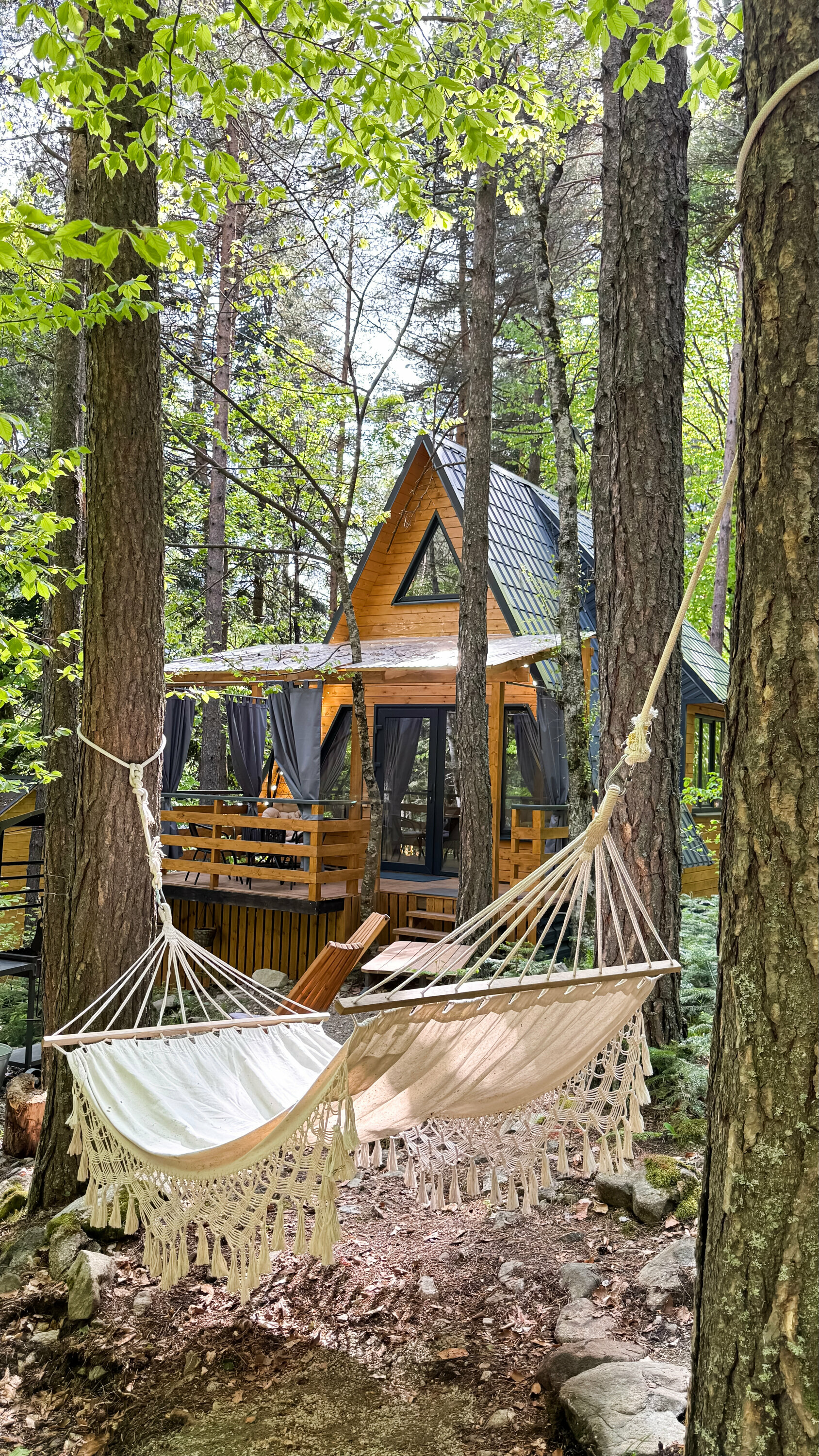 Дом с видом на лес