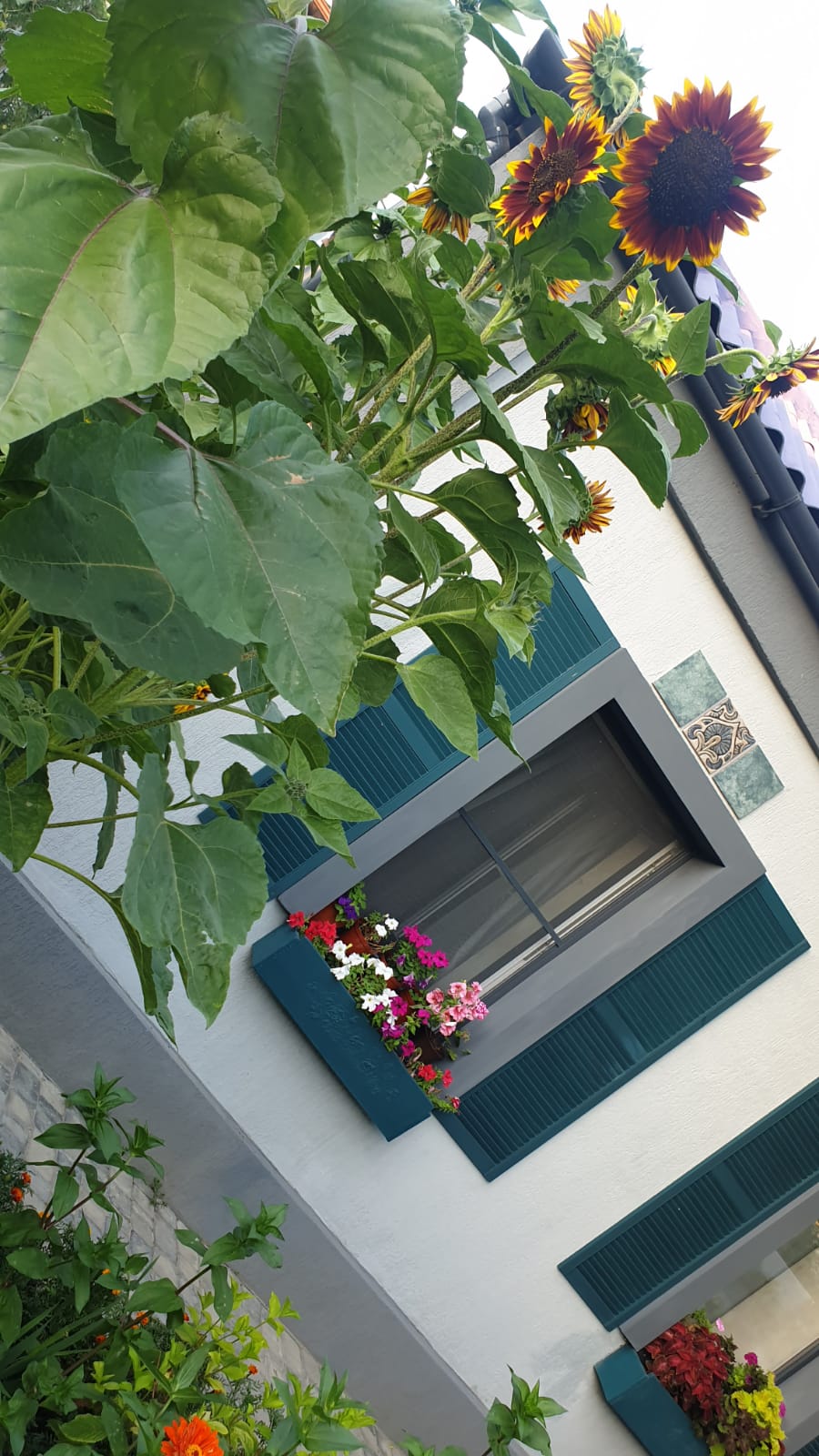 Семейный номер