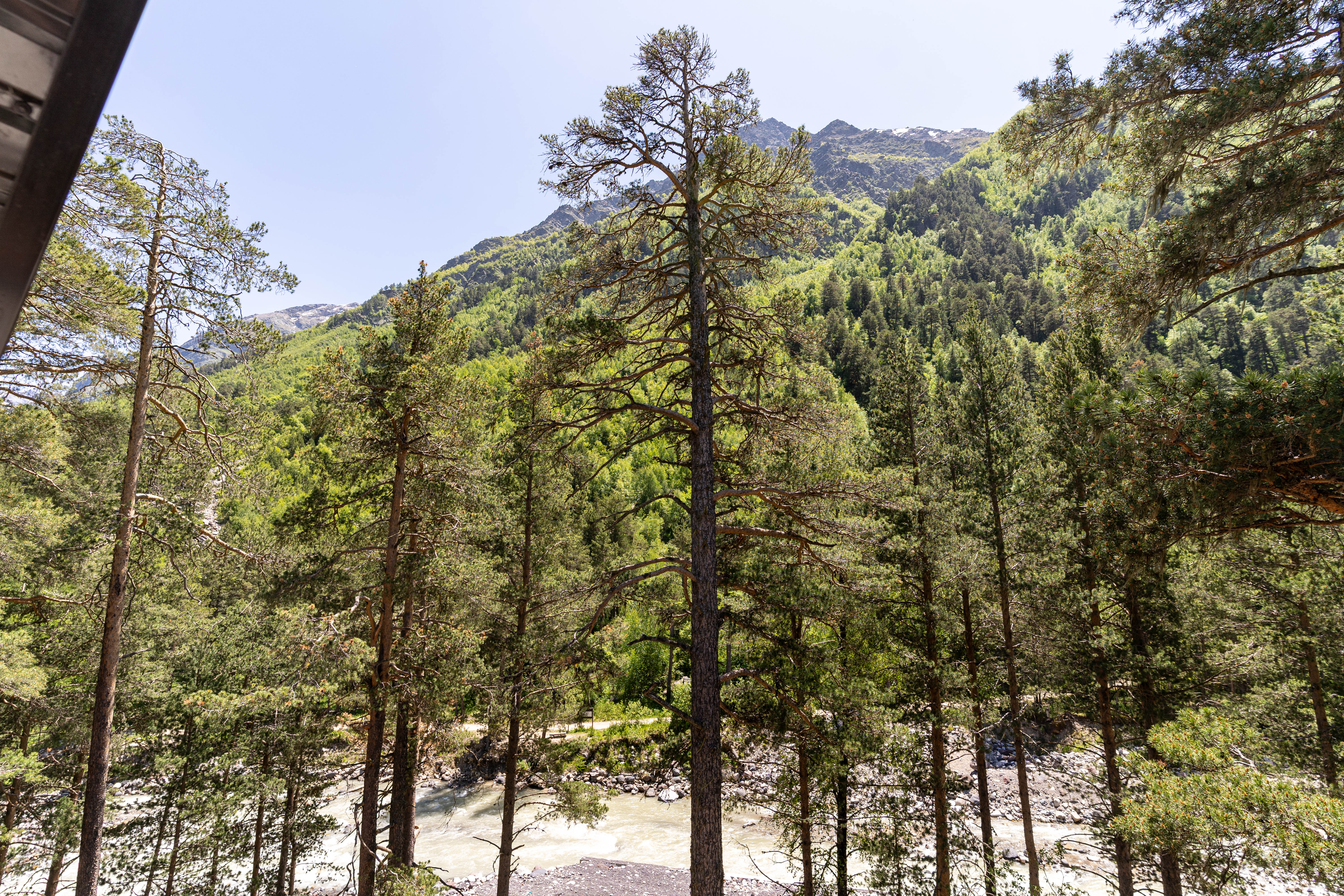 Стандартный трехместный номер