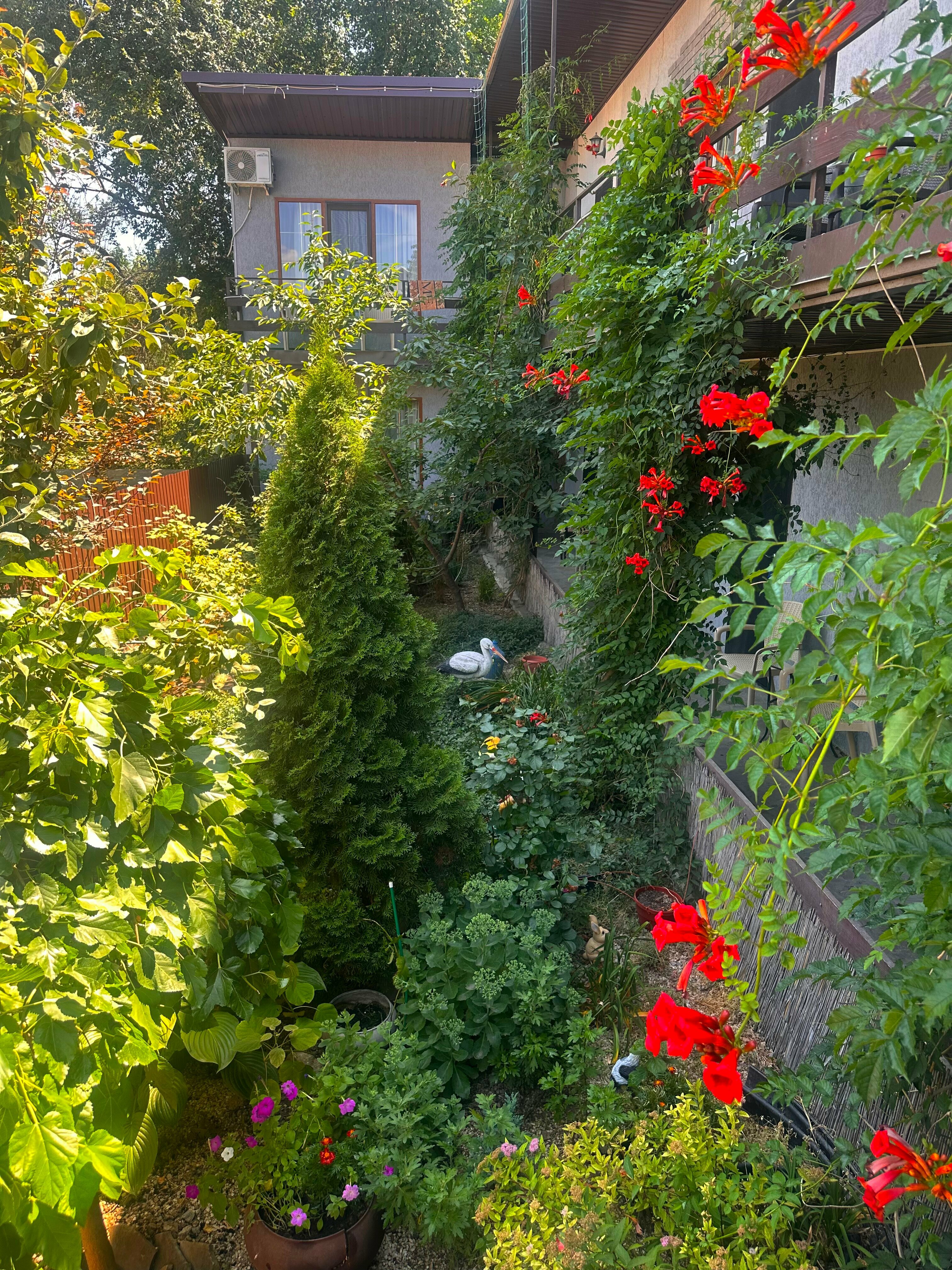 Бюджетный трехместный номер