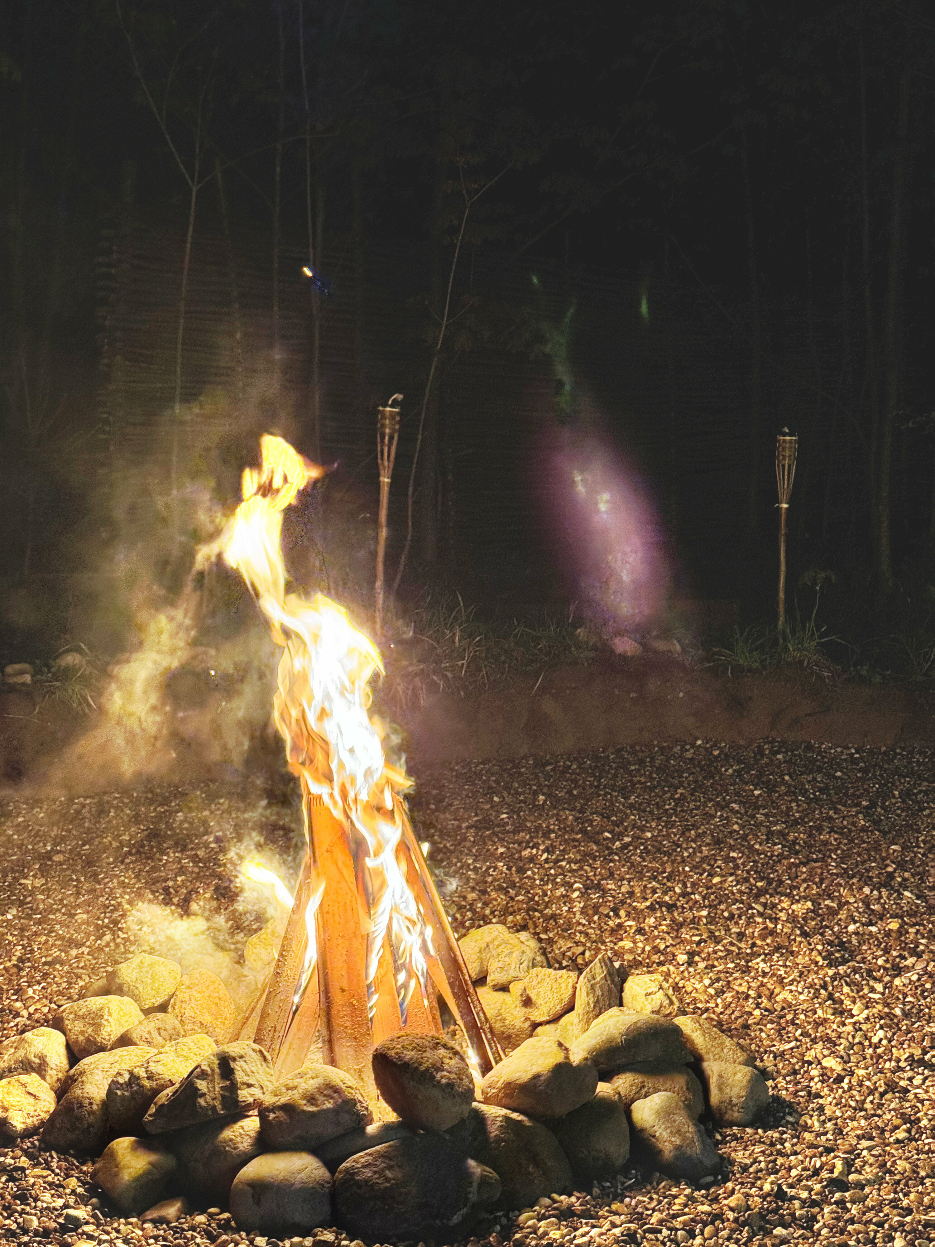 Дом с видом на лес