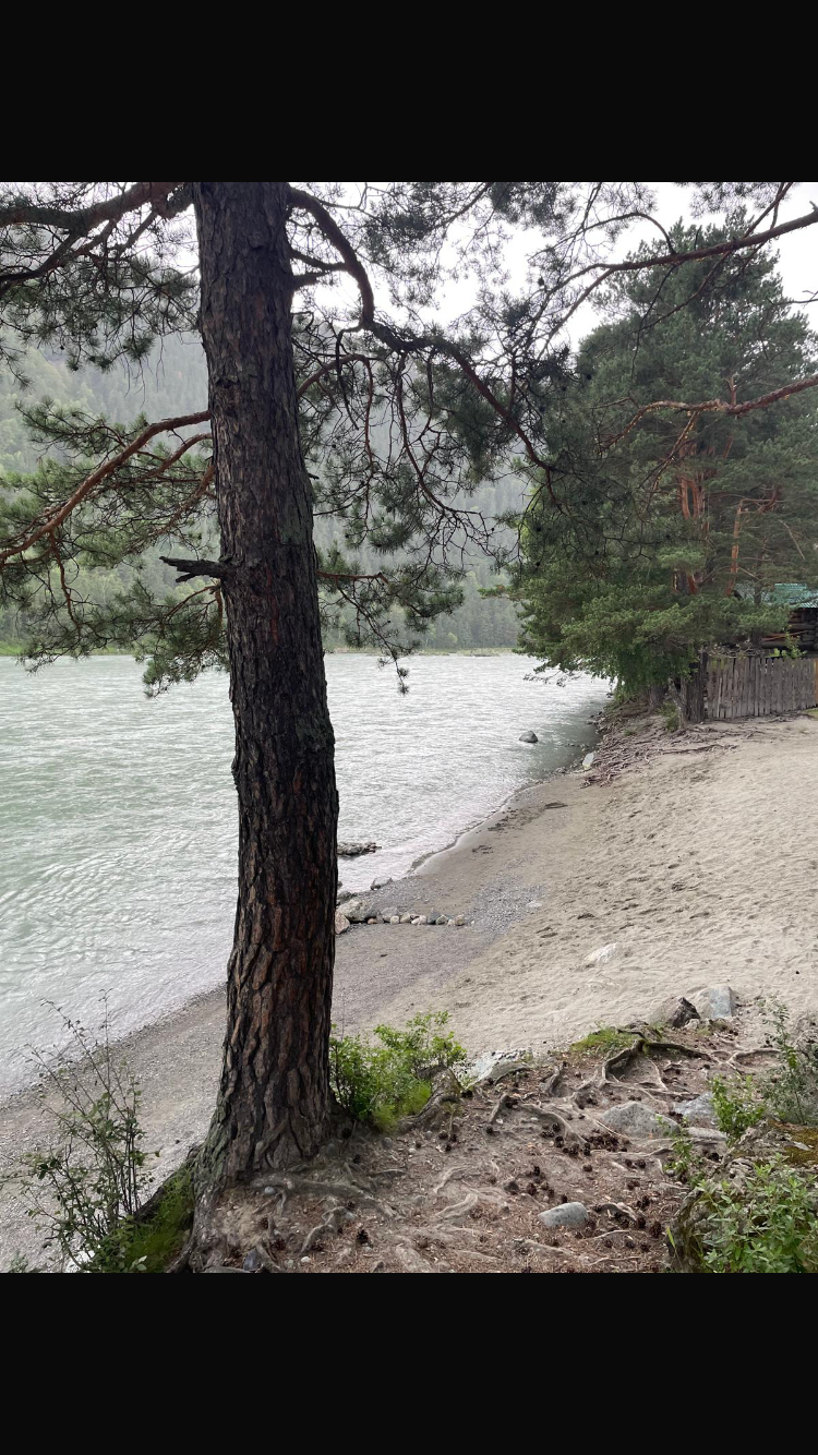 Двухместный номер Делюкс с 1 кроватью и балконом