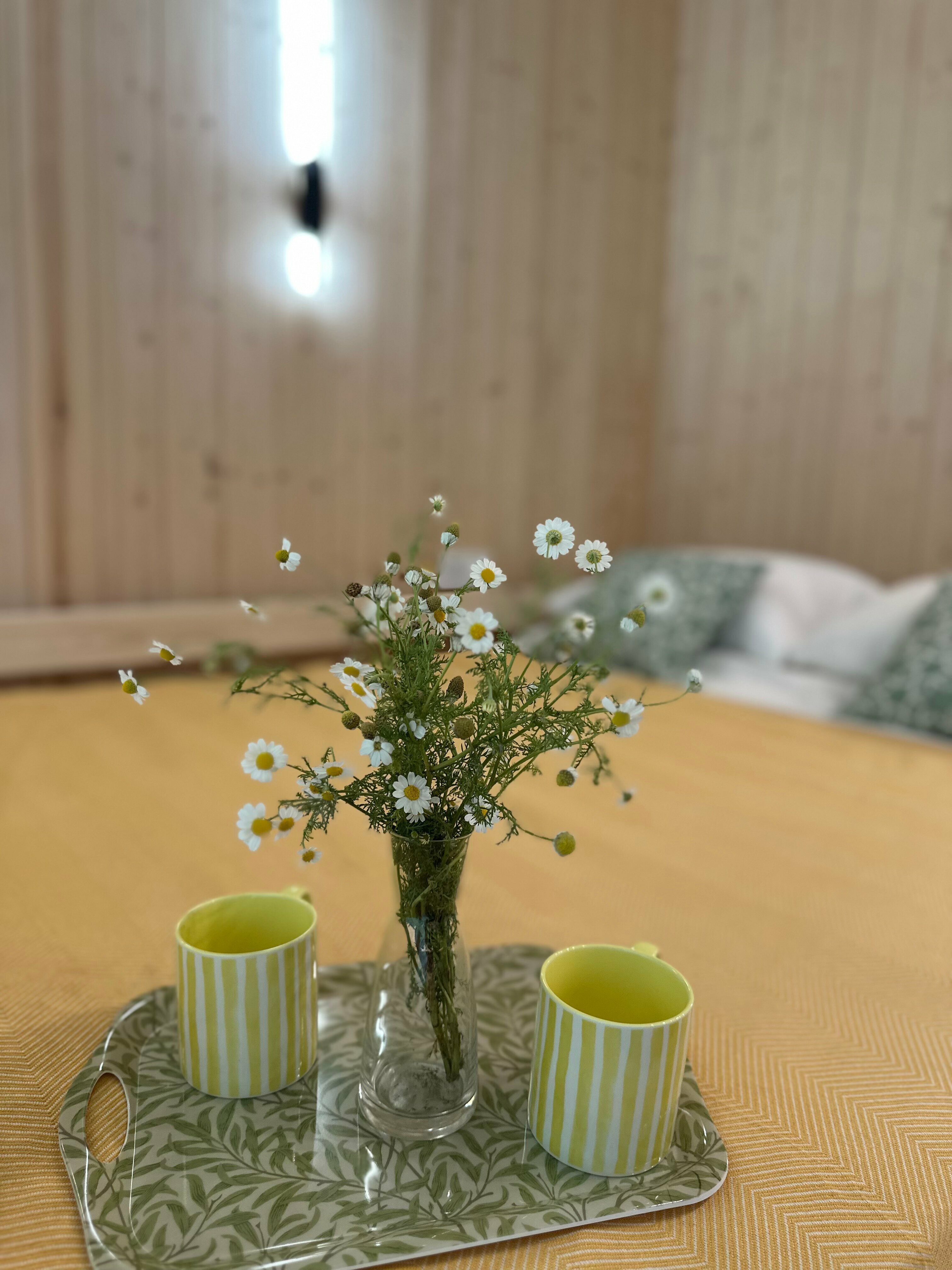 Семейный номер-студия