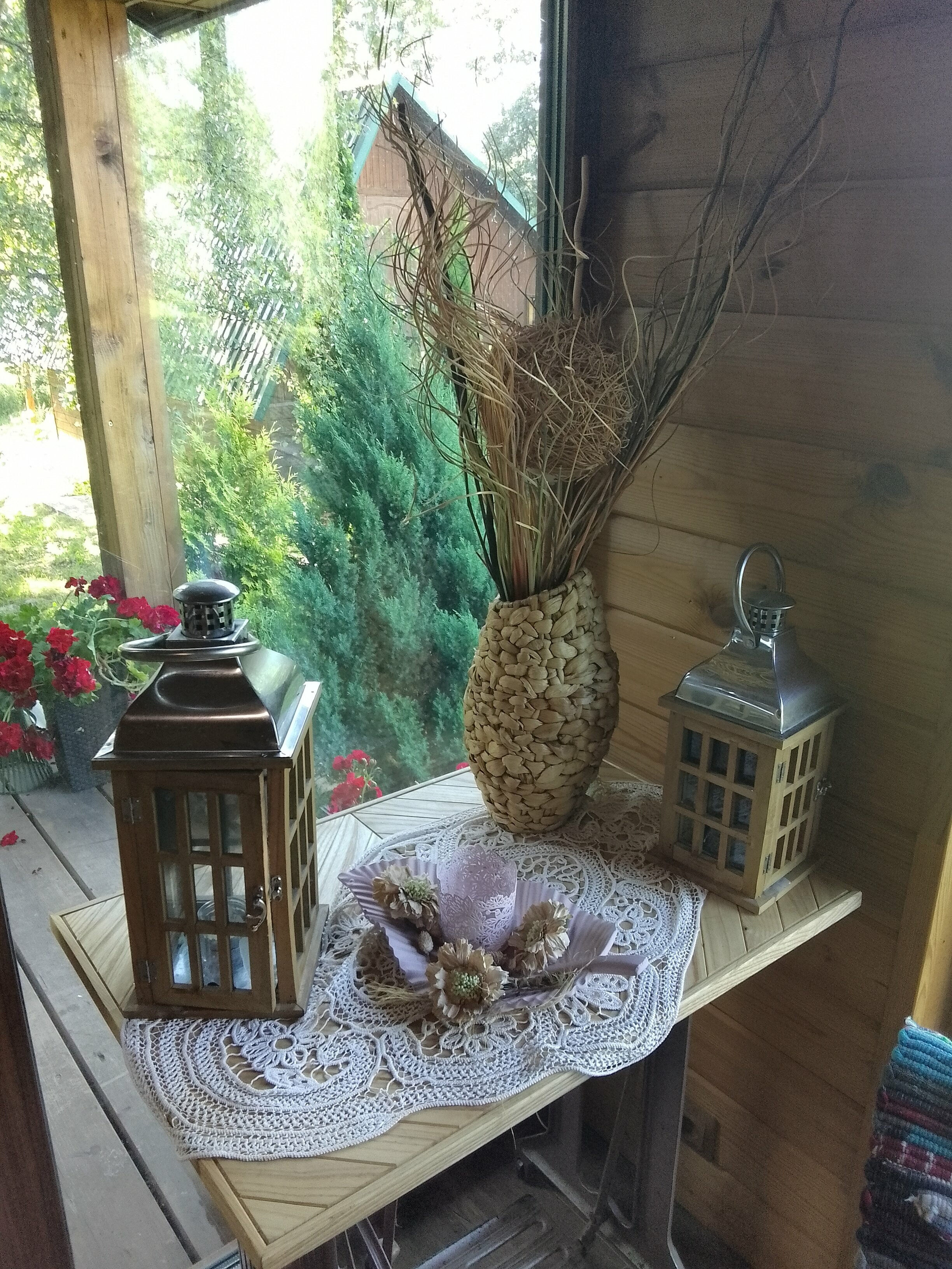 Дом с видом на лес