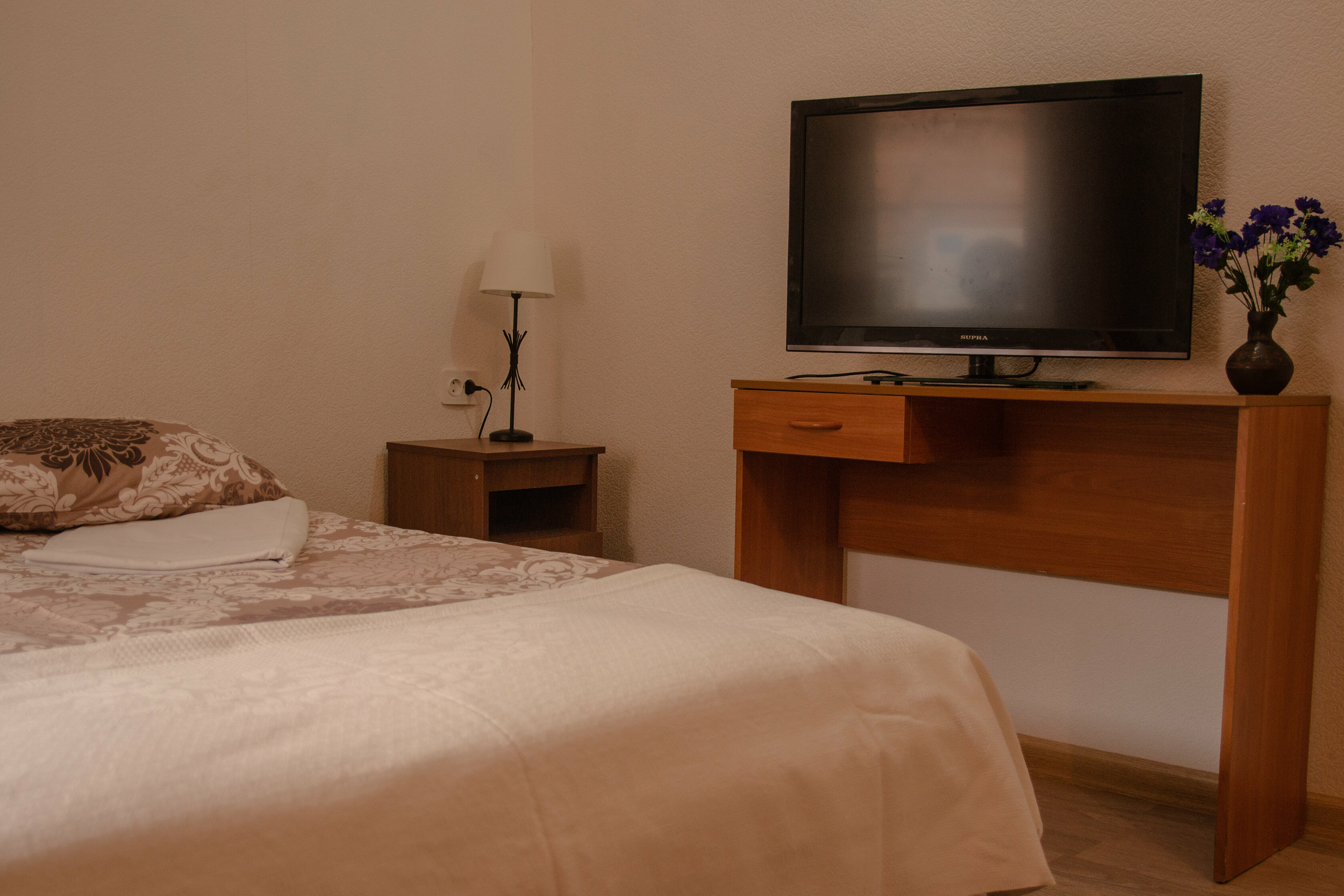 Двухместный номер с 1 кроватью или 2 отдельными кроватями