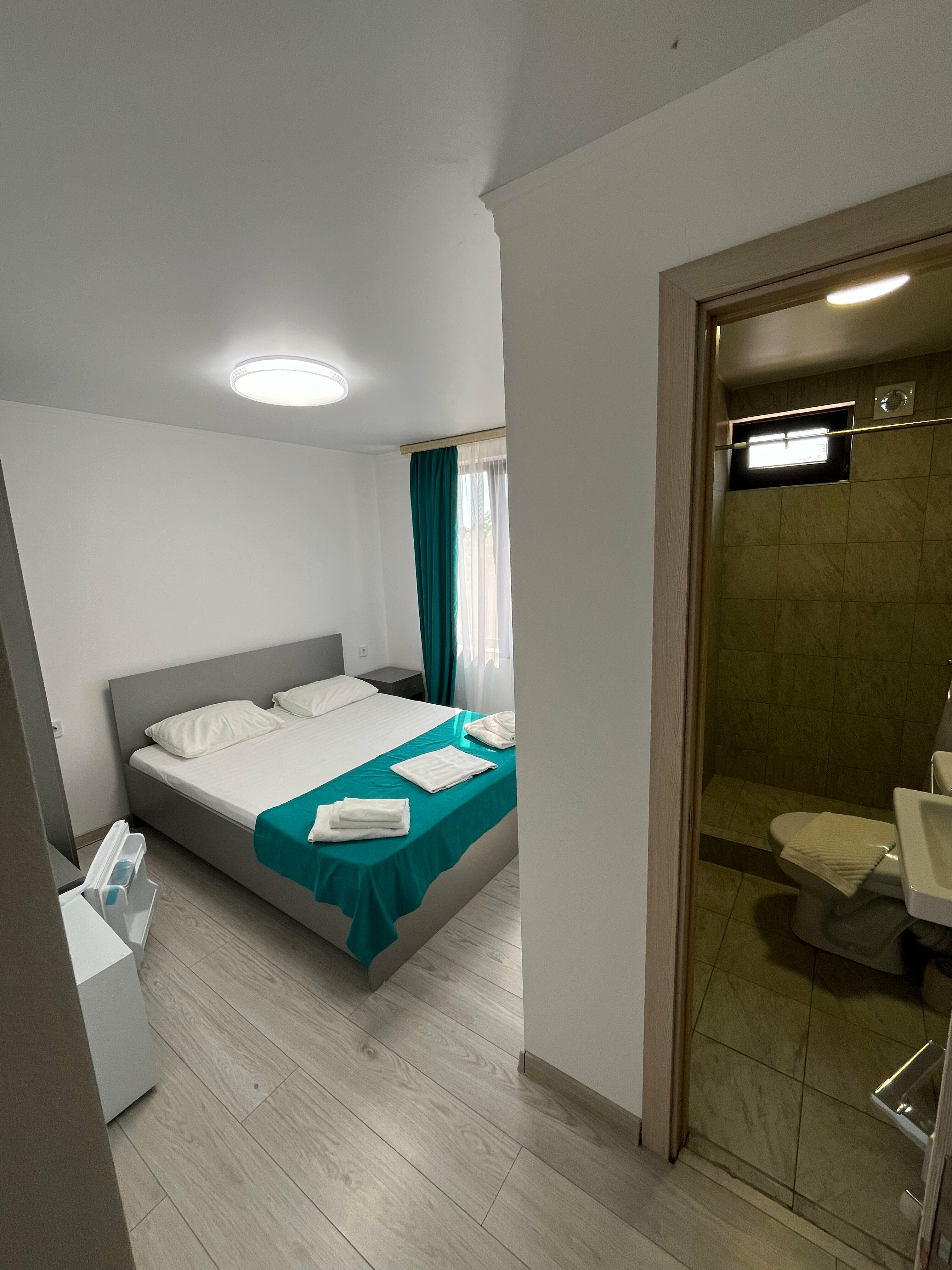 Двухместный номер Делюкс с 1 кроватью и душем