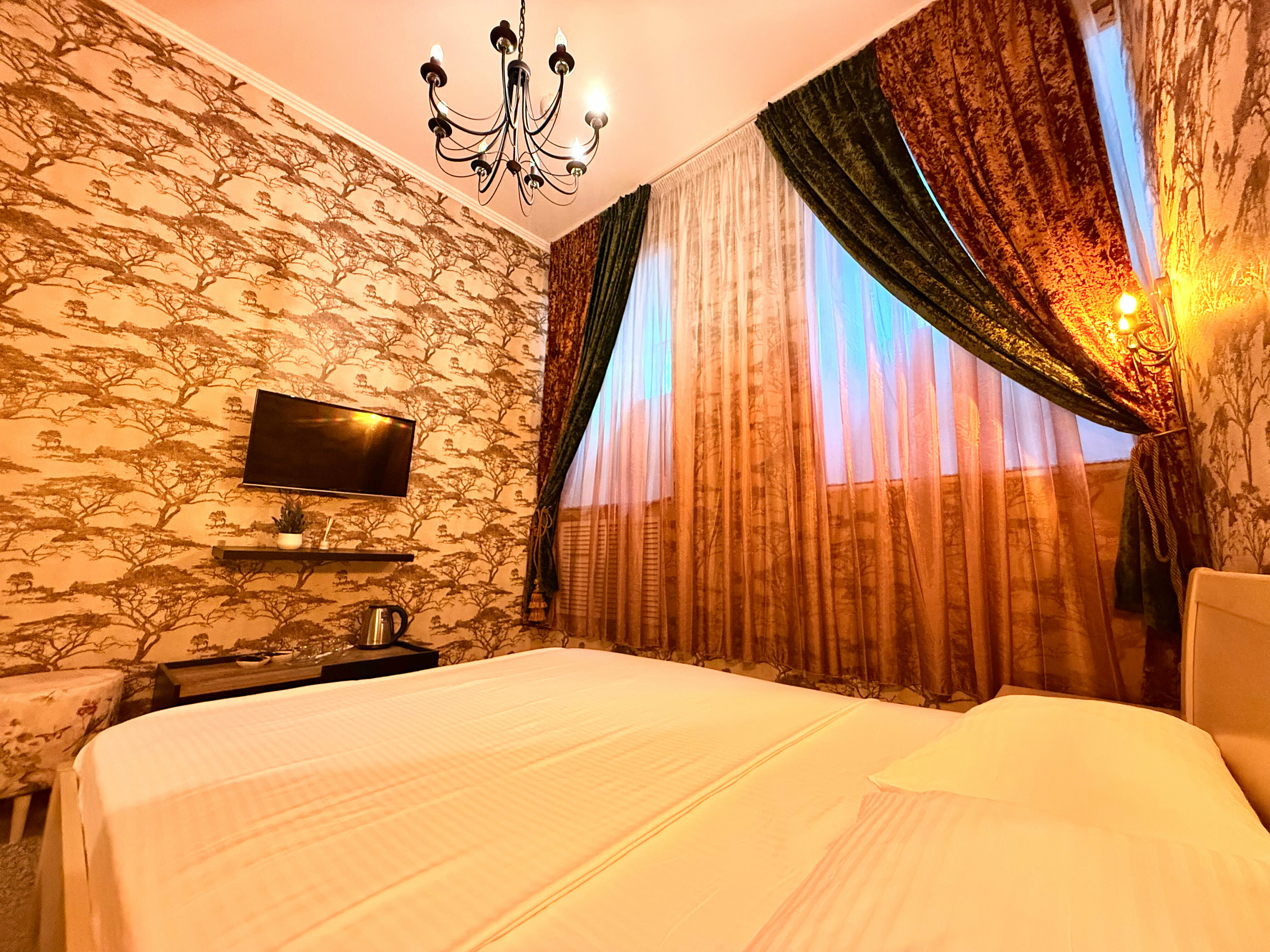 Двухместный номер с 1 кроватью