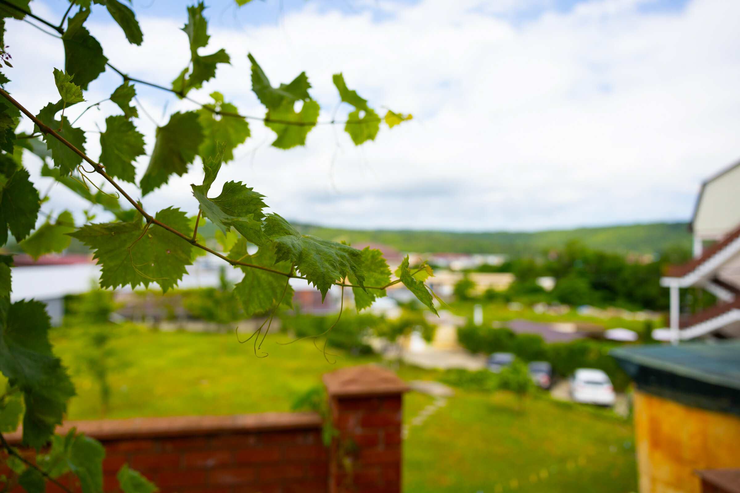 Двухместный номер с 1 кроватью