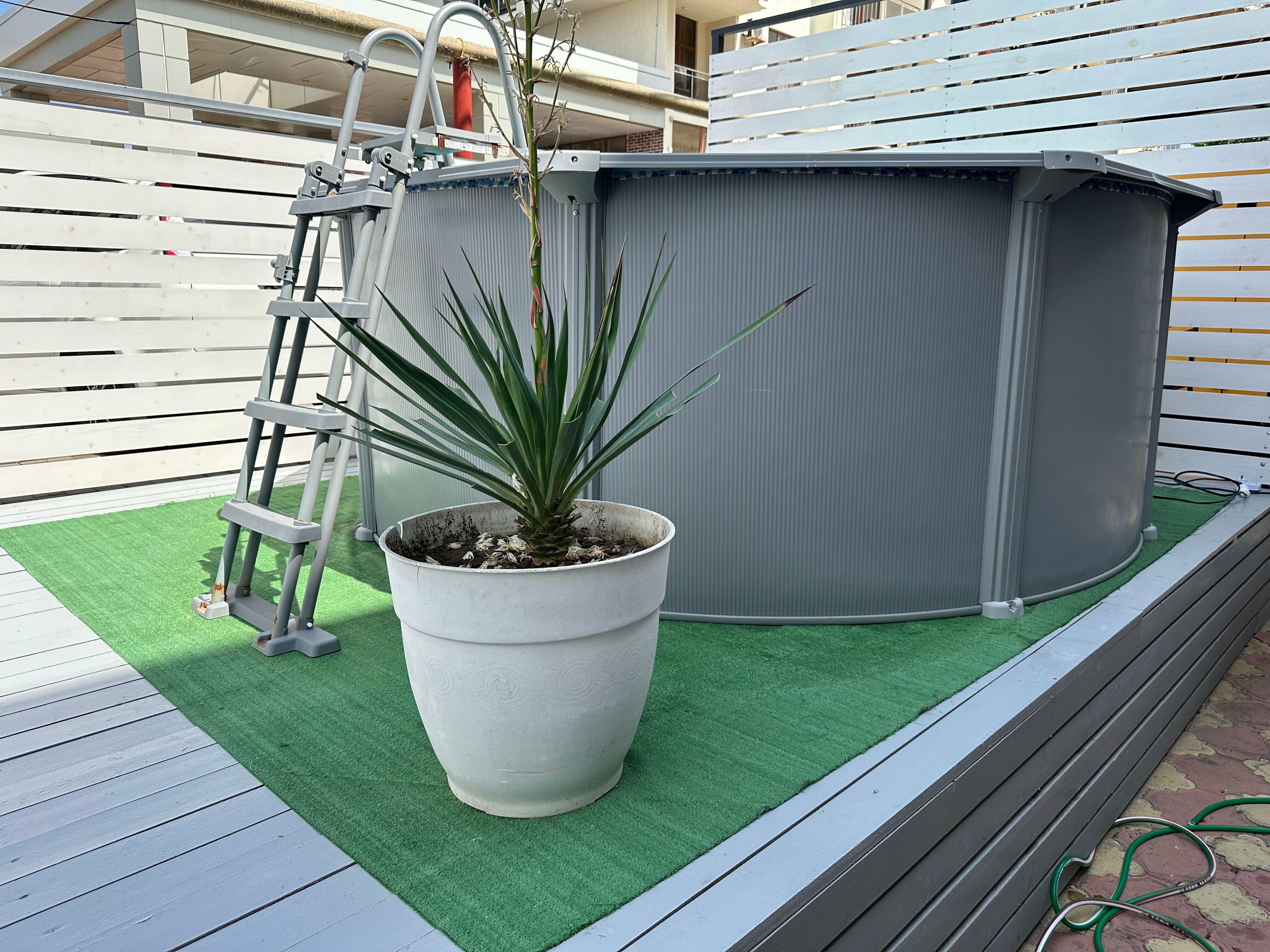 Двухместный номер с 1 кроватью или 2 отдельными кроватями