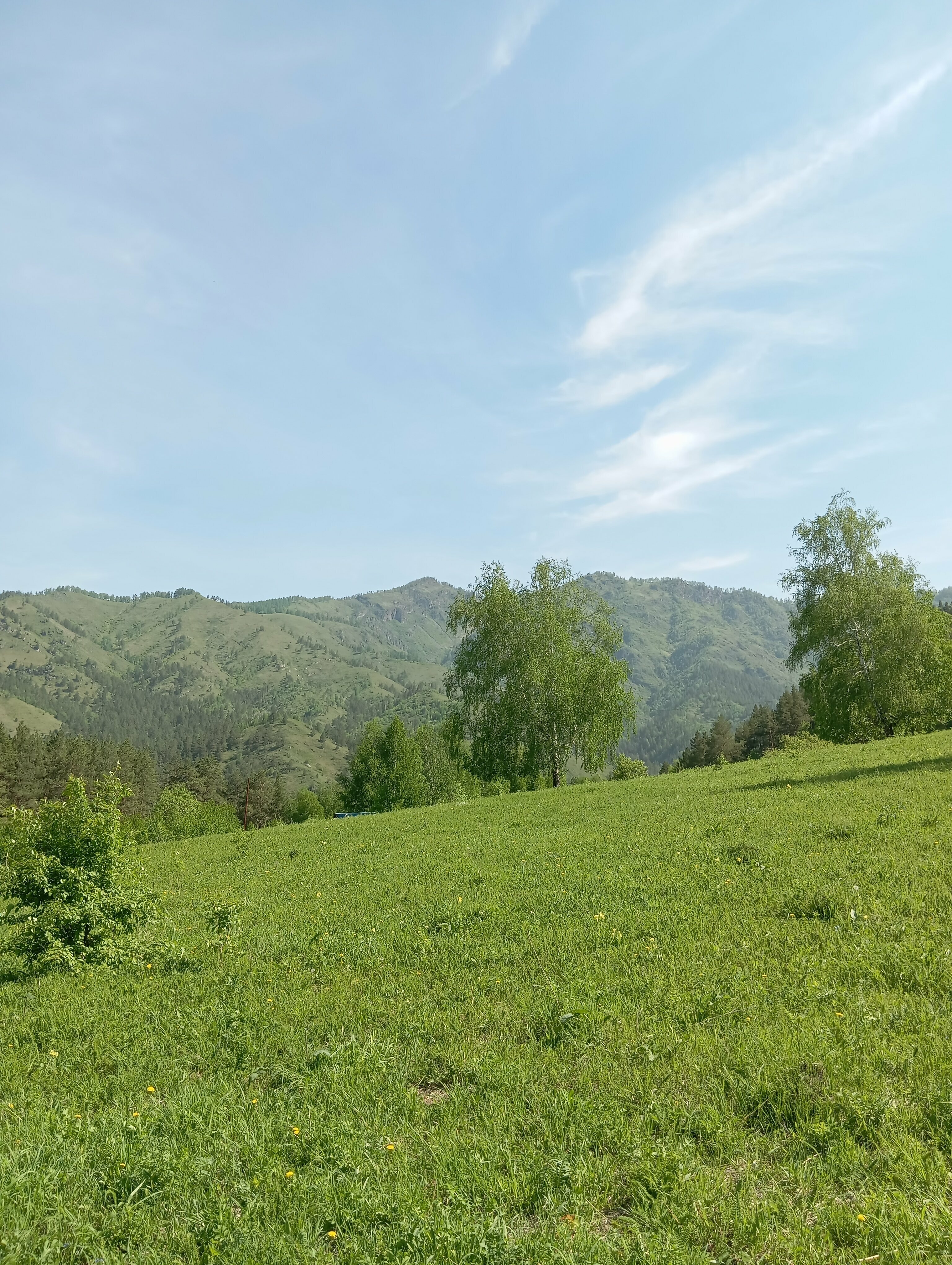 Улучшенный четырехместный номер