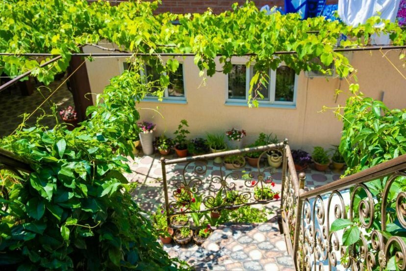 Двухместный номер эконом-класса с 1 кроватью или 2 отдельными кроватями