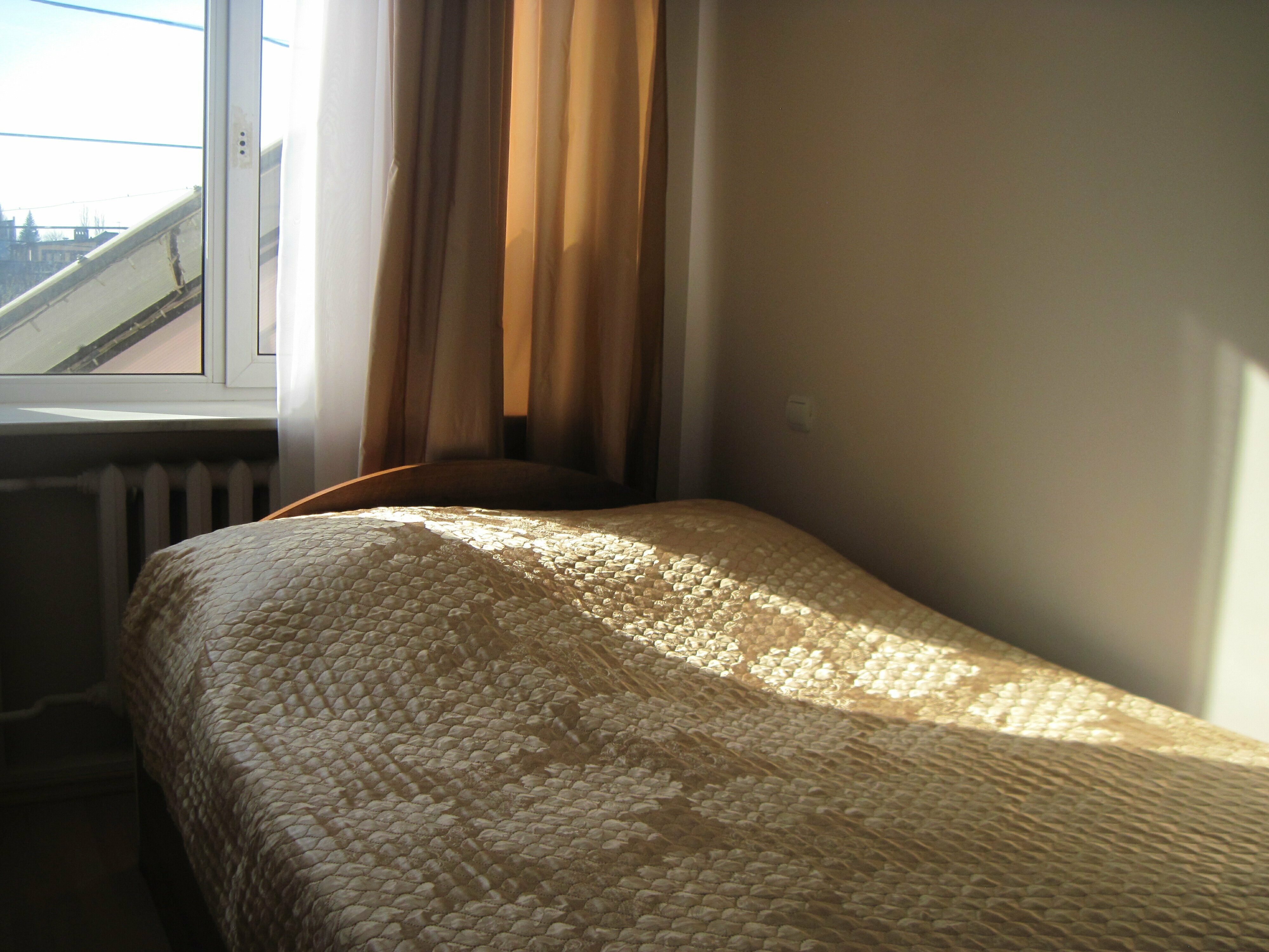 Двухместный номер с 1 кроватью и видом на парк