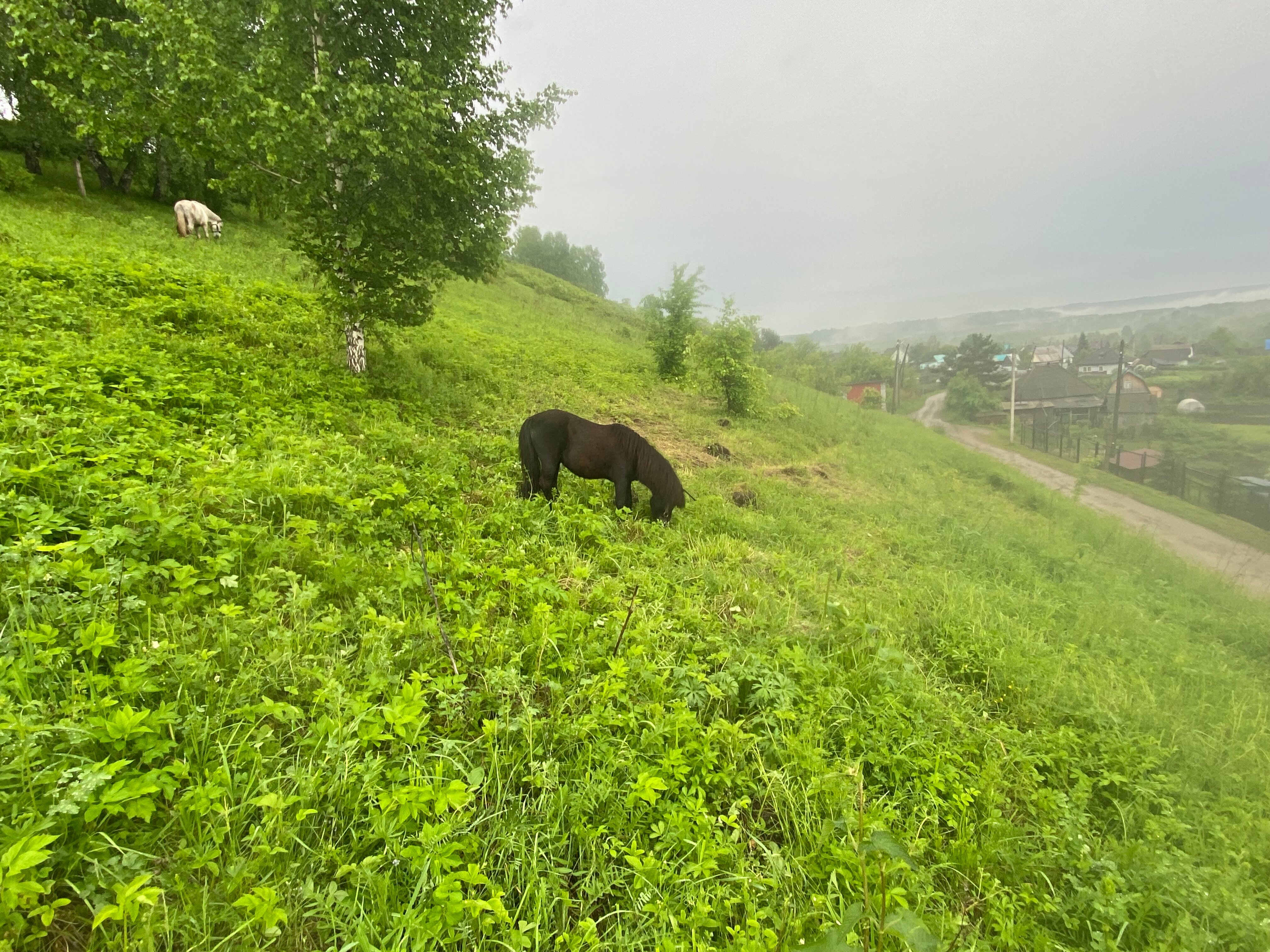 Коттедж с видом на озеро