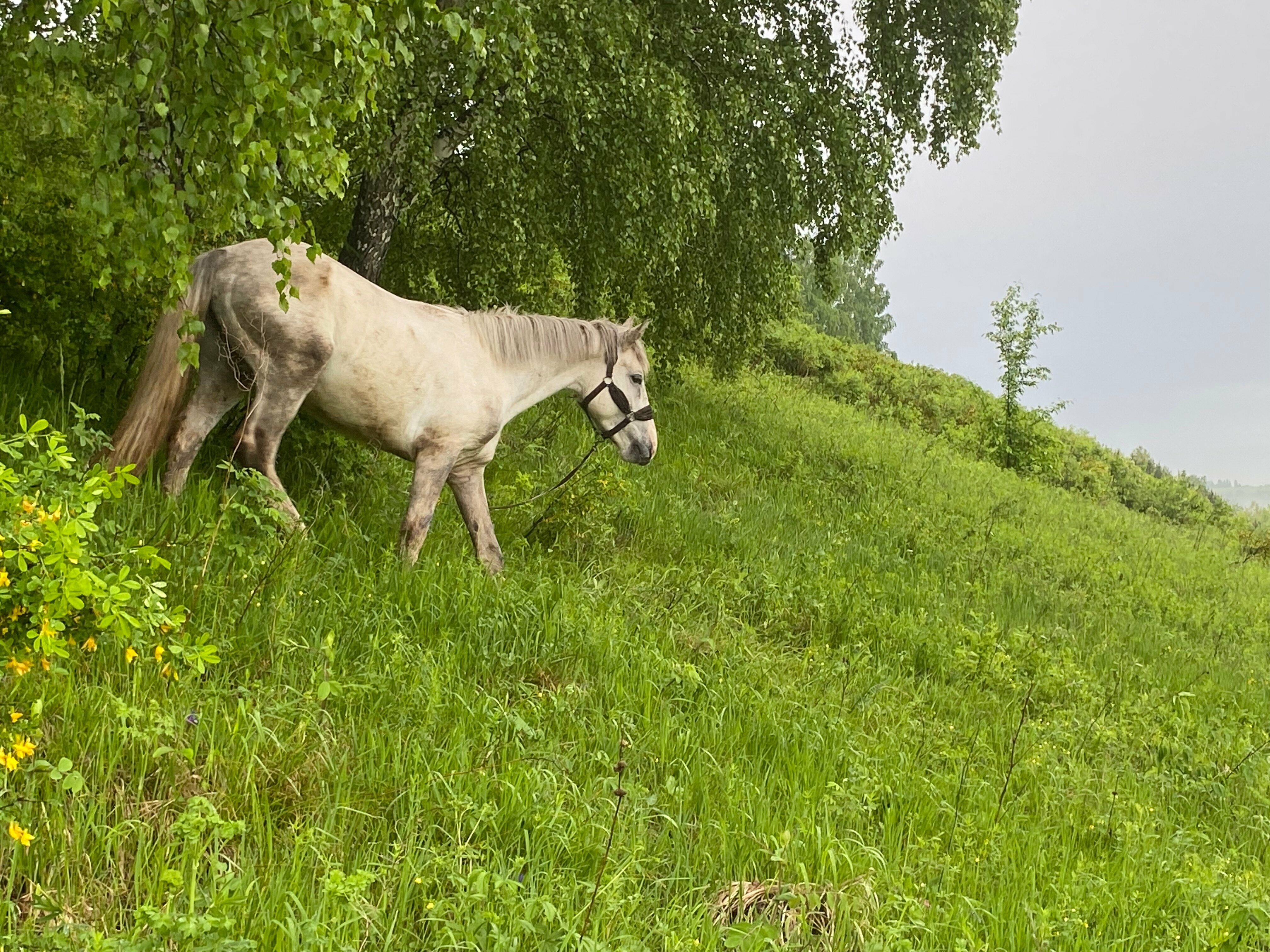 Коттедж с видом на озеро