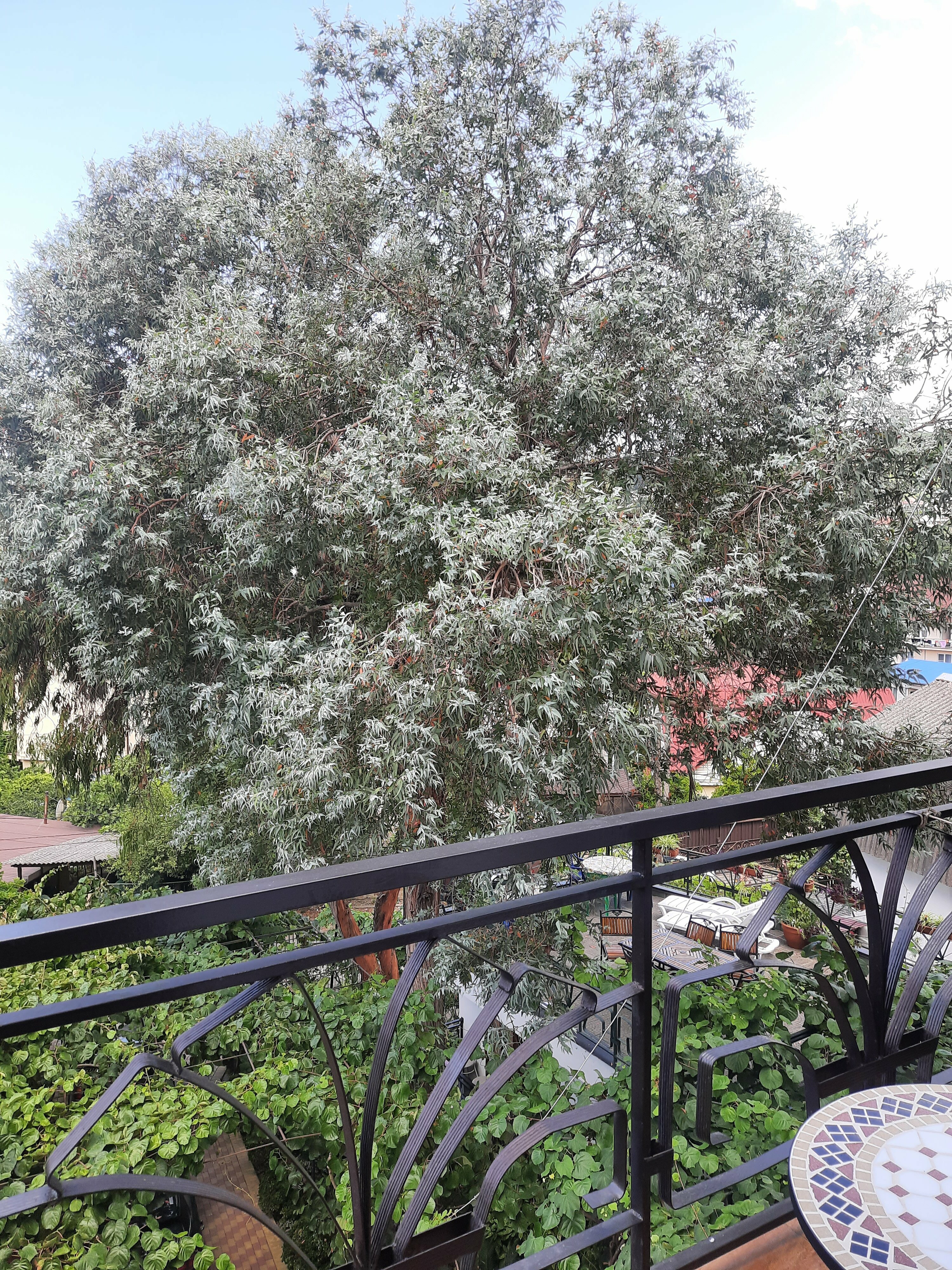 Двухместный номер с 2 отдельными кроватями и балконом