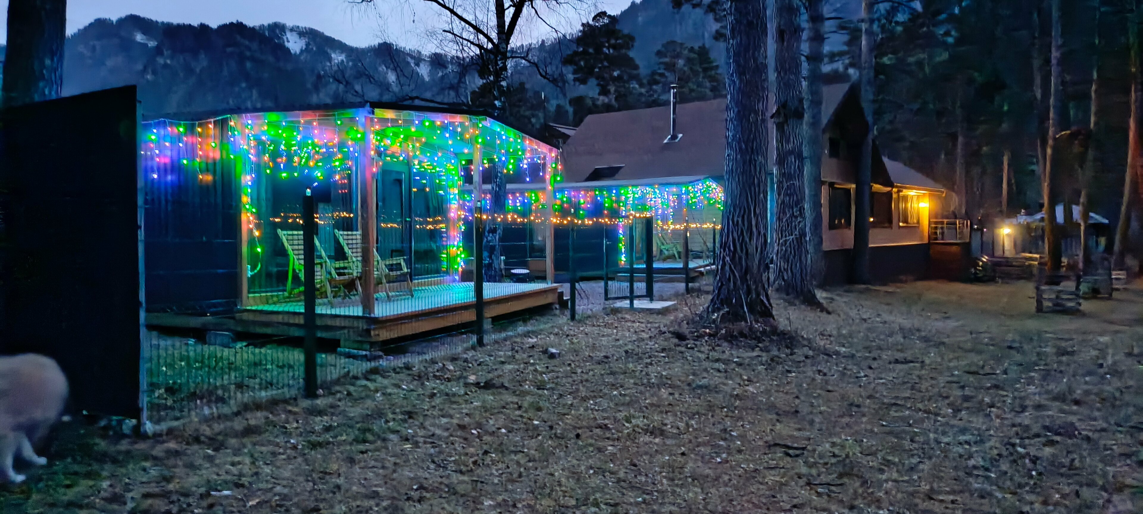 Дом с видом на лес