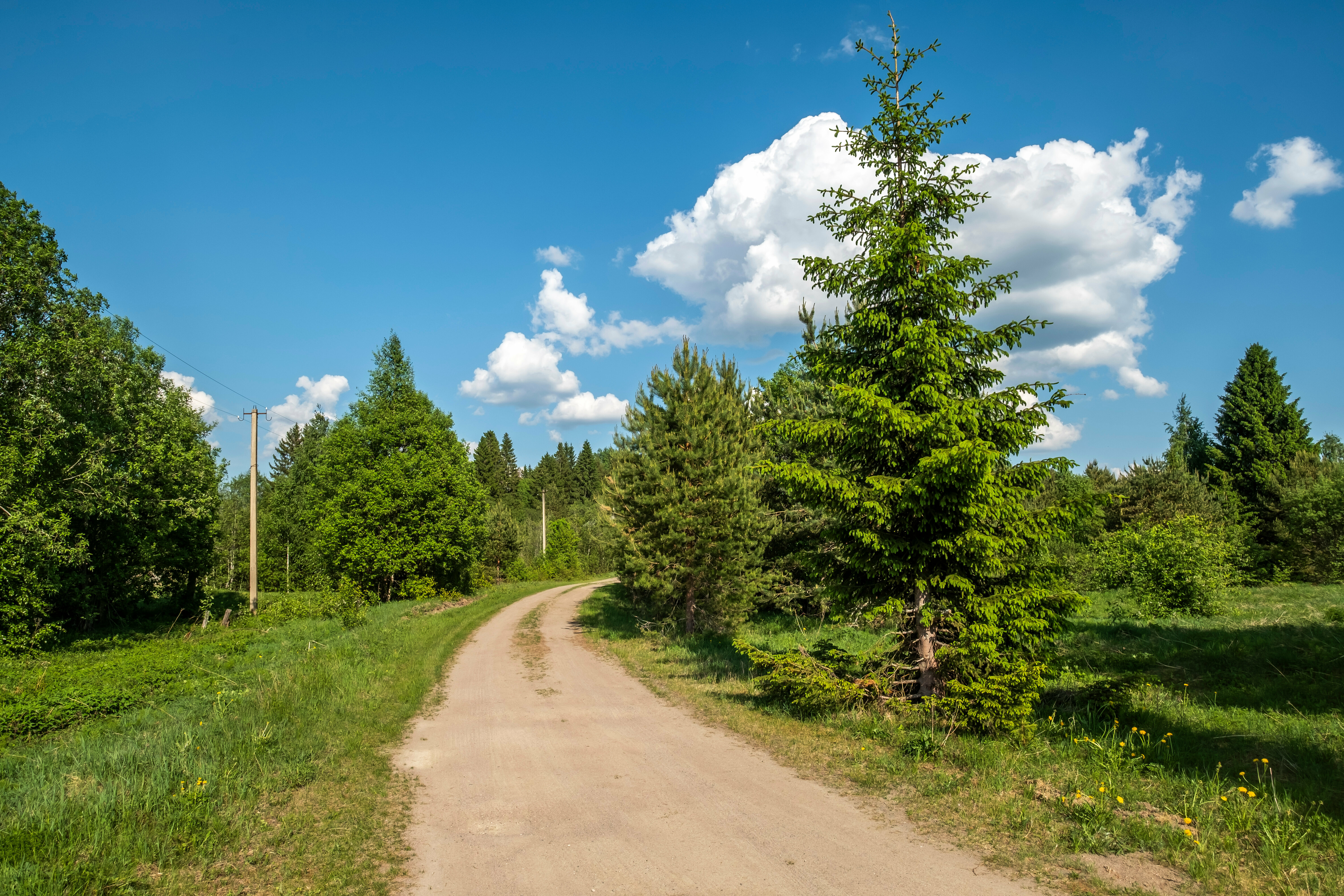 Небольшой двухместный номер с 1 кроватью