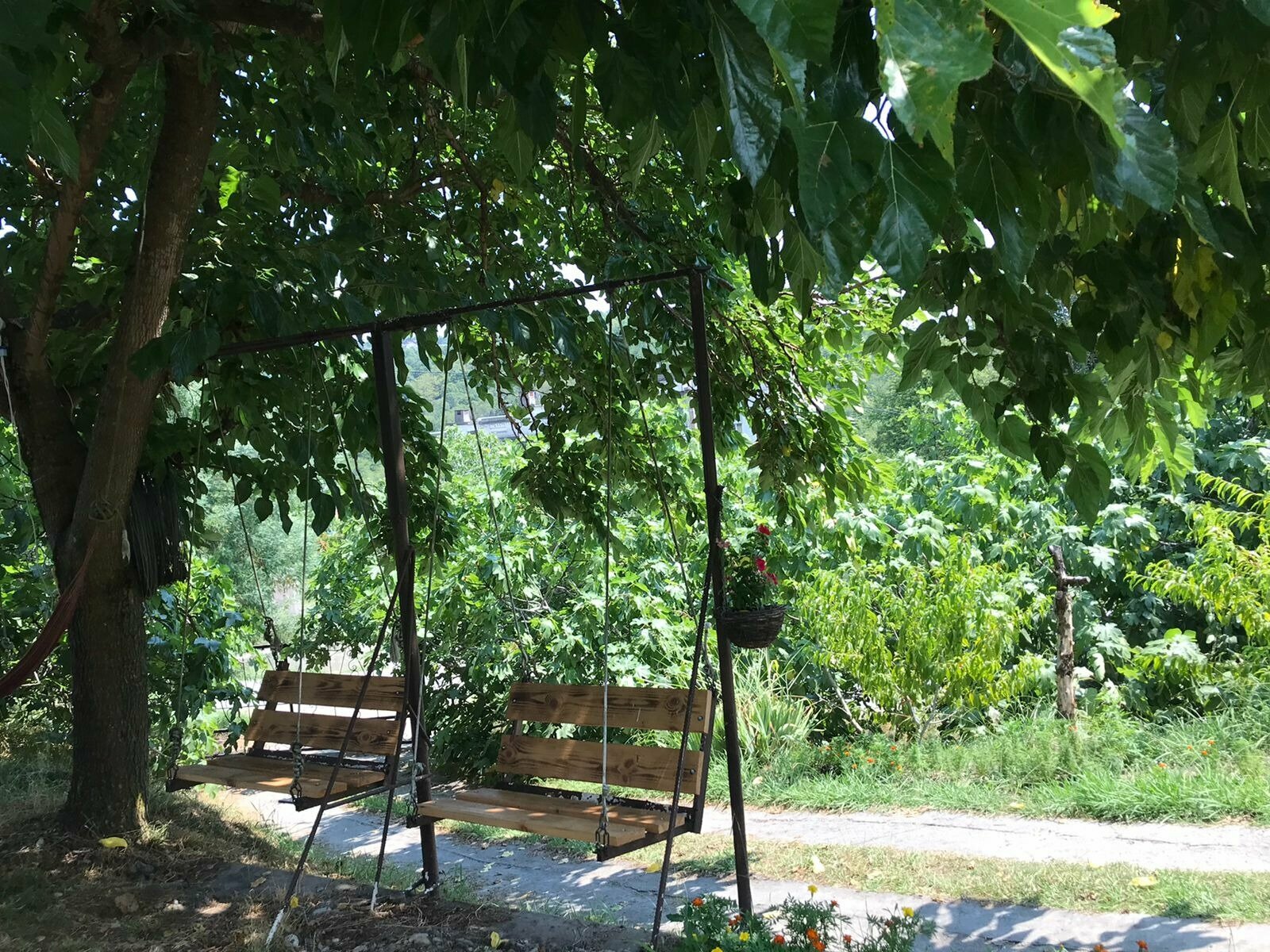 Двухместный номер с 1 кроватью или 2 отдельными кроватями