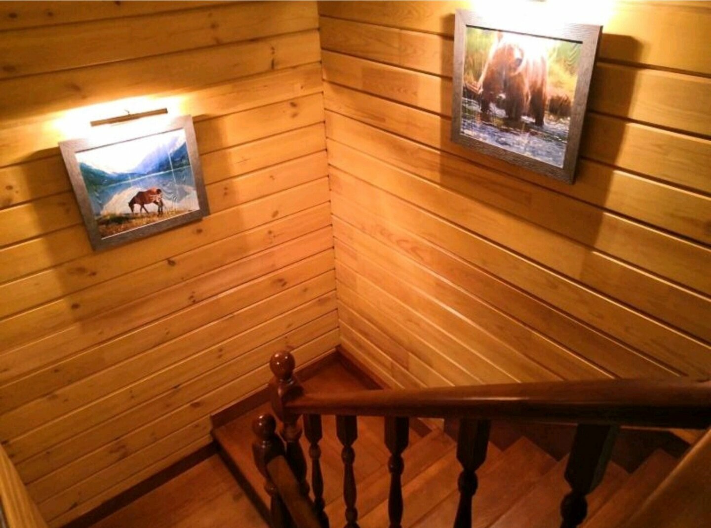 Коттедж с видом на лес