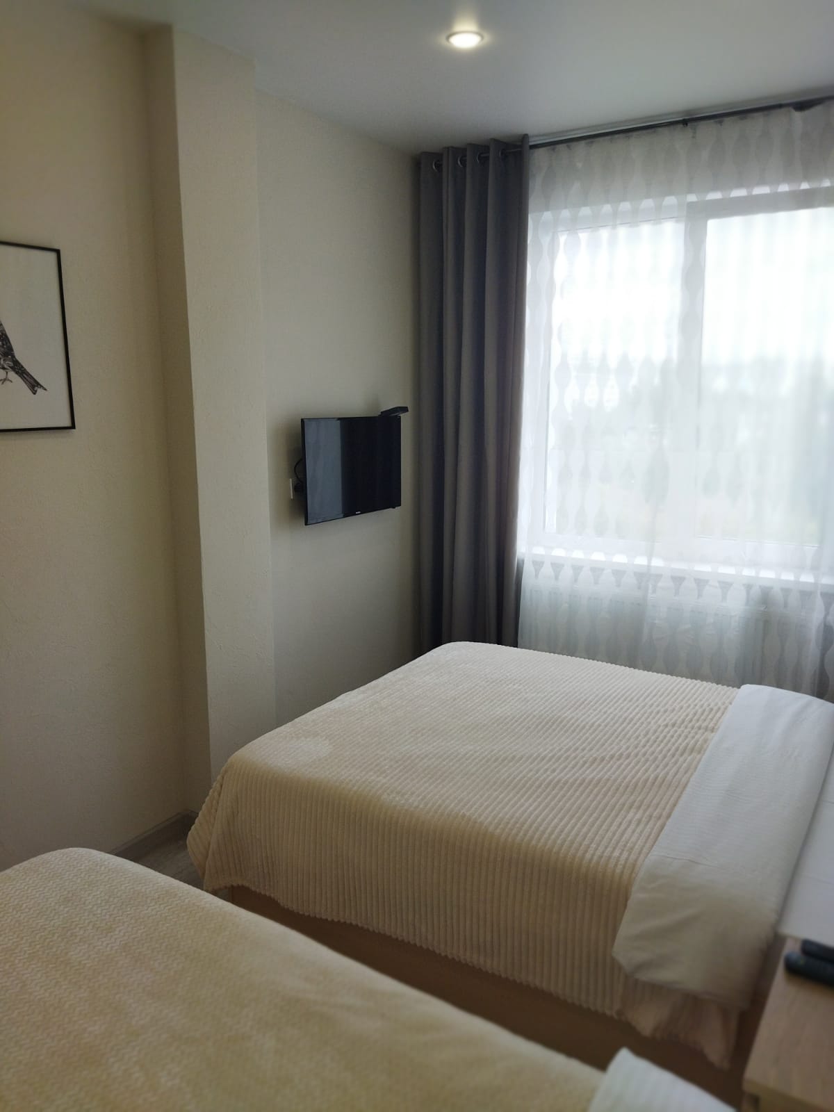 Семейный номер с душем