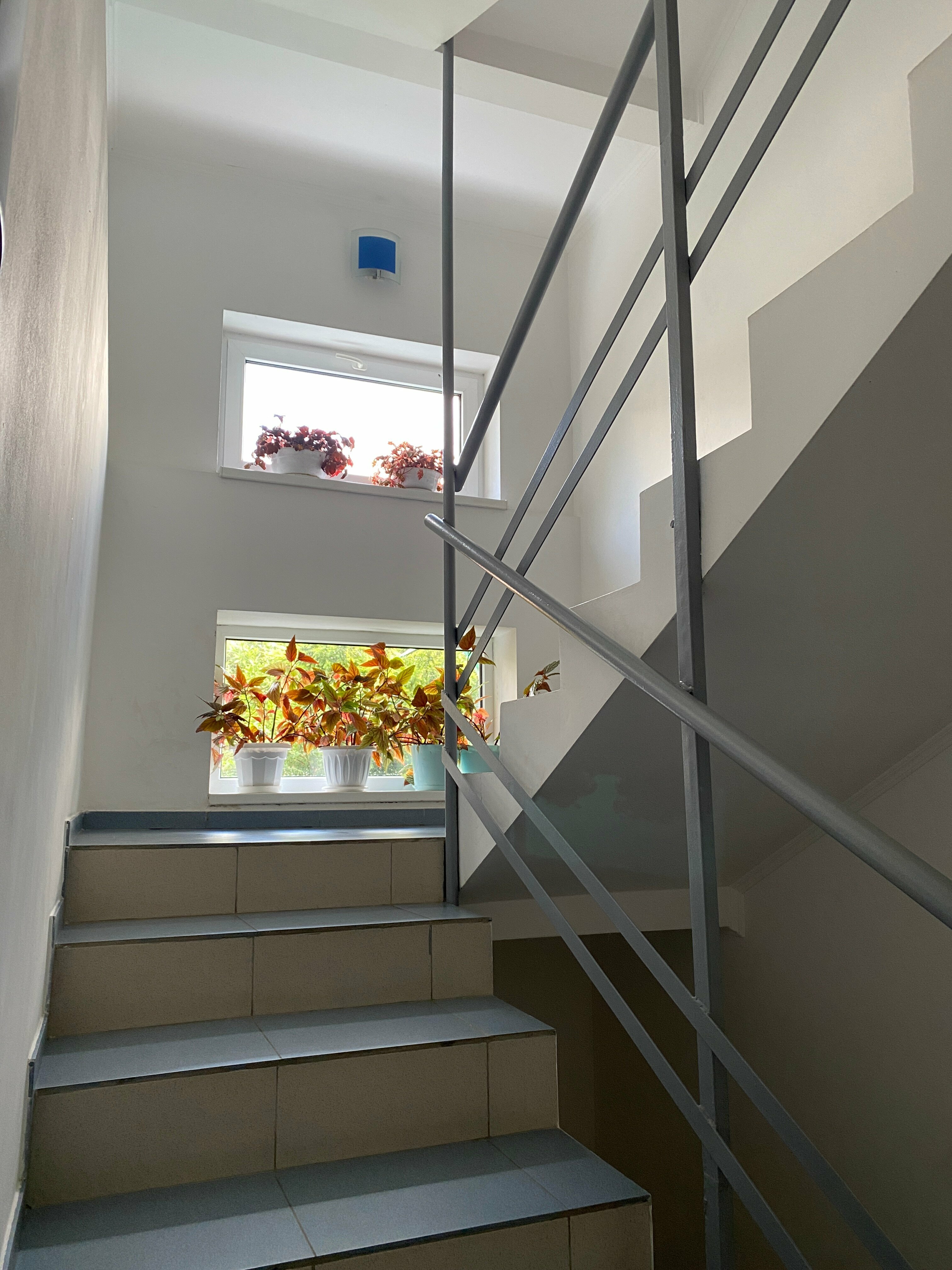 Четырехместный номер с душем